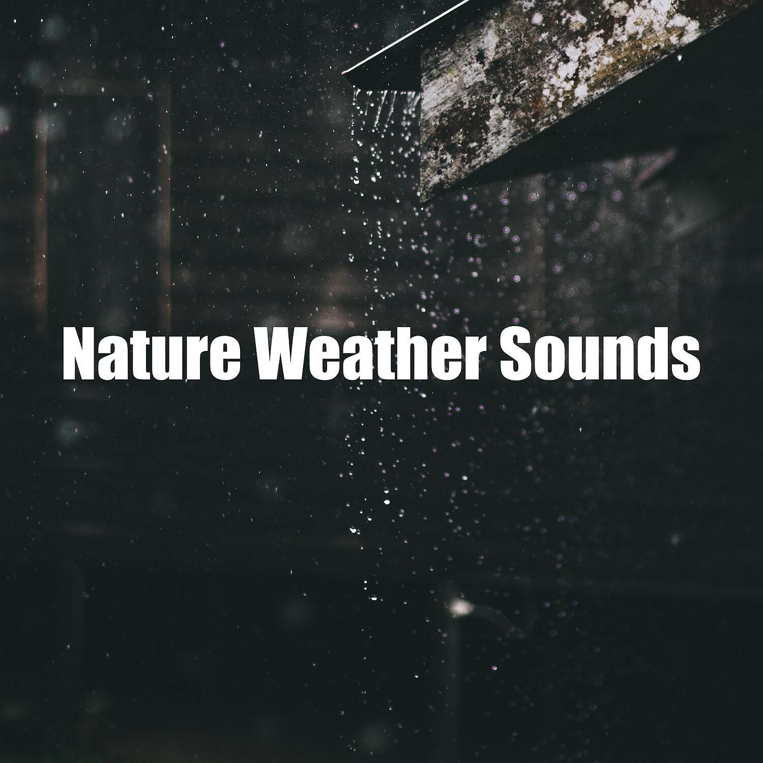 Weather and Nature Recordings - Refreshing Noises of Weather