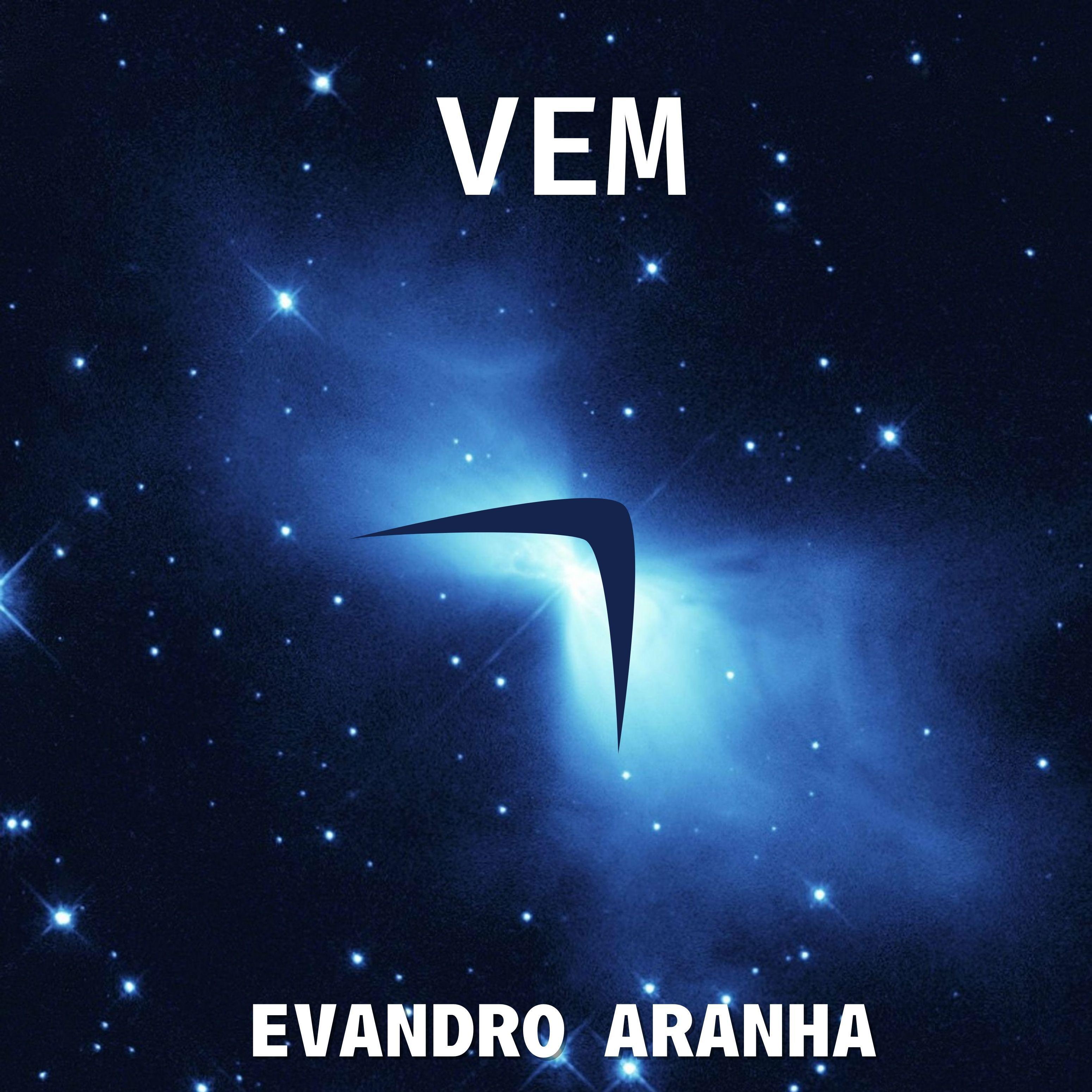 Постер альбома Vem
