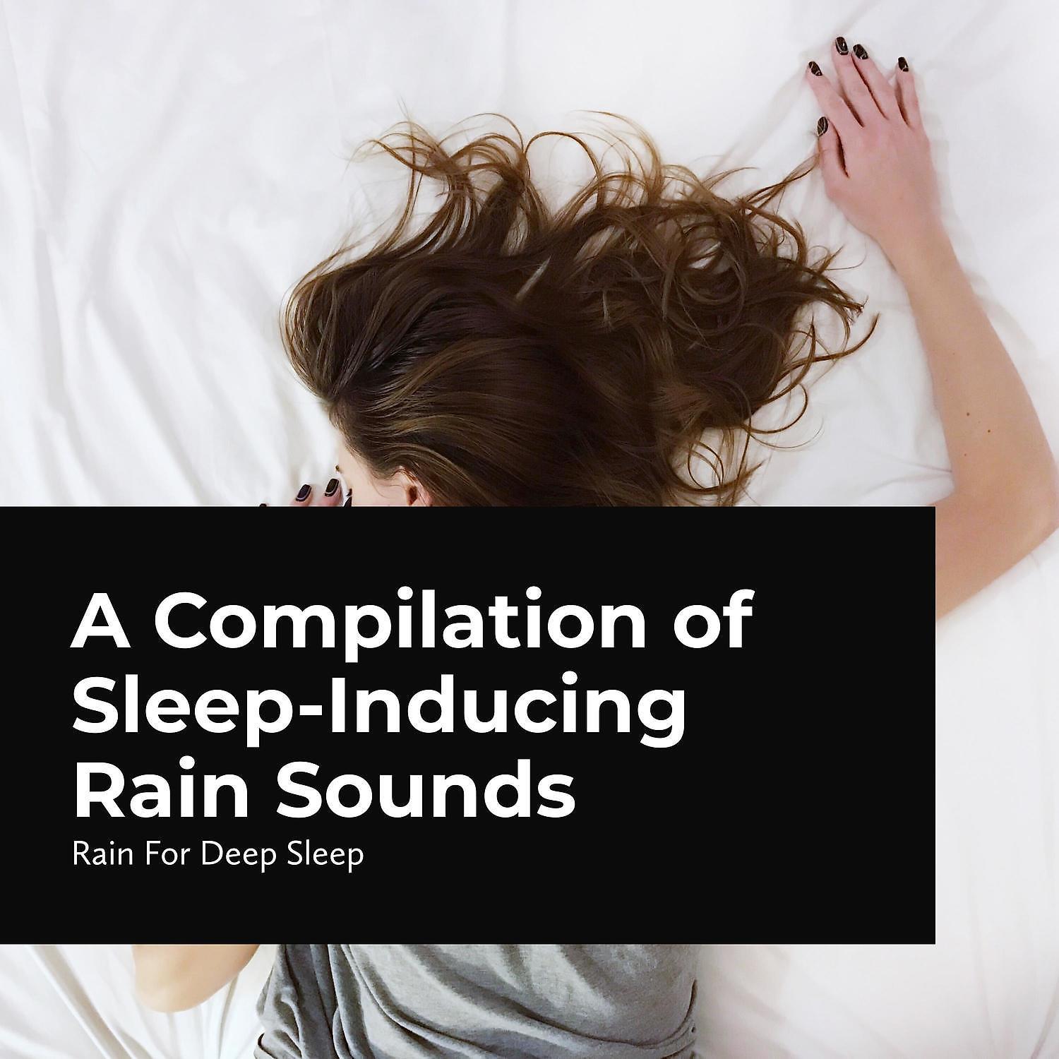 Постер альбома A Compilation of Sleep-Inducing Rain Sounds