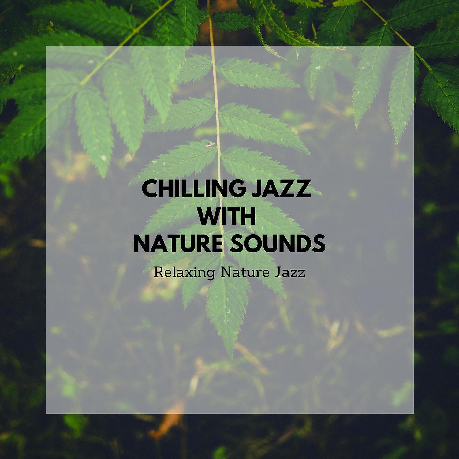 Relaxing Nature Jazz - Nature Sounds - Soothing Music For Relaxation (SPA Jazz Music)