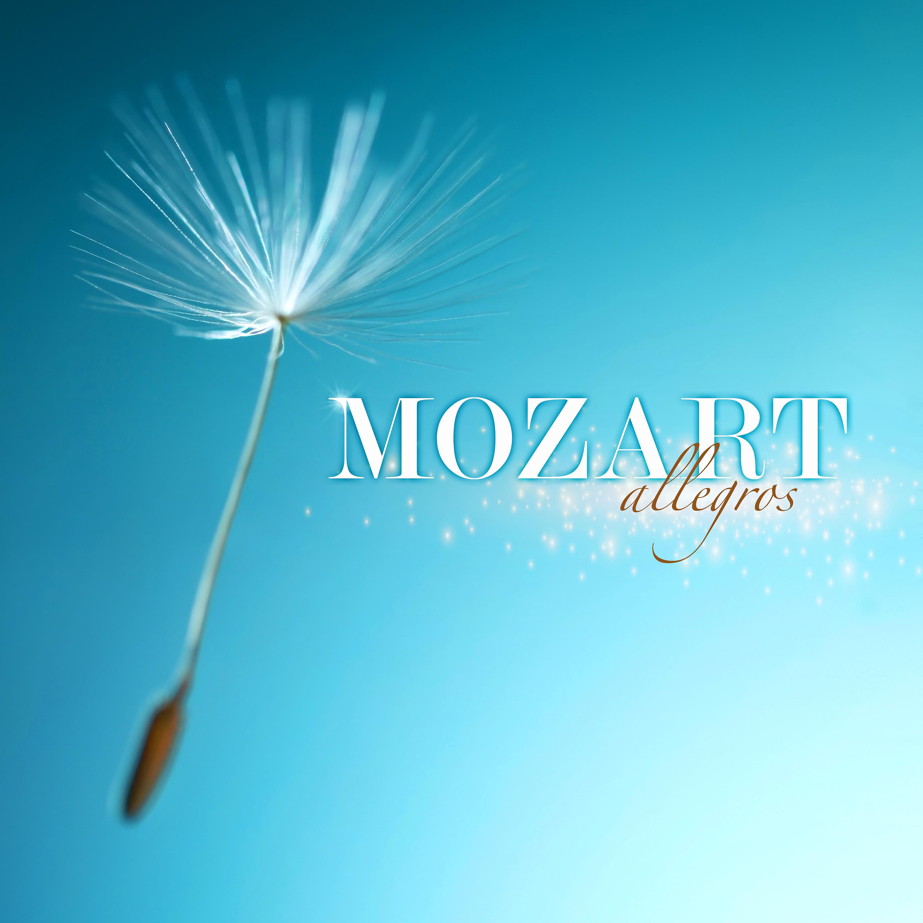 Постер альбома Mozart Allegros
