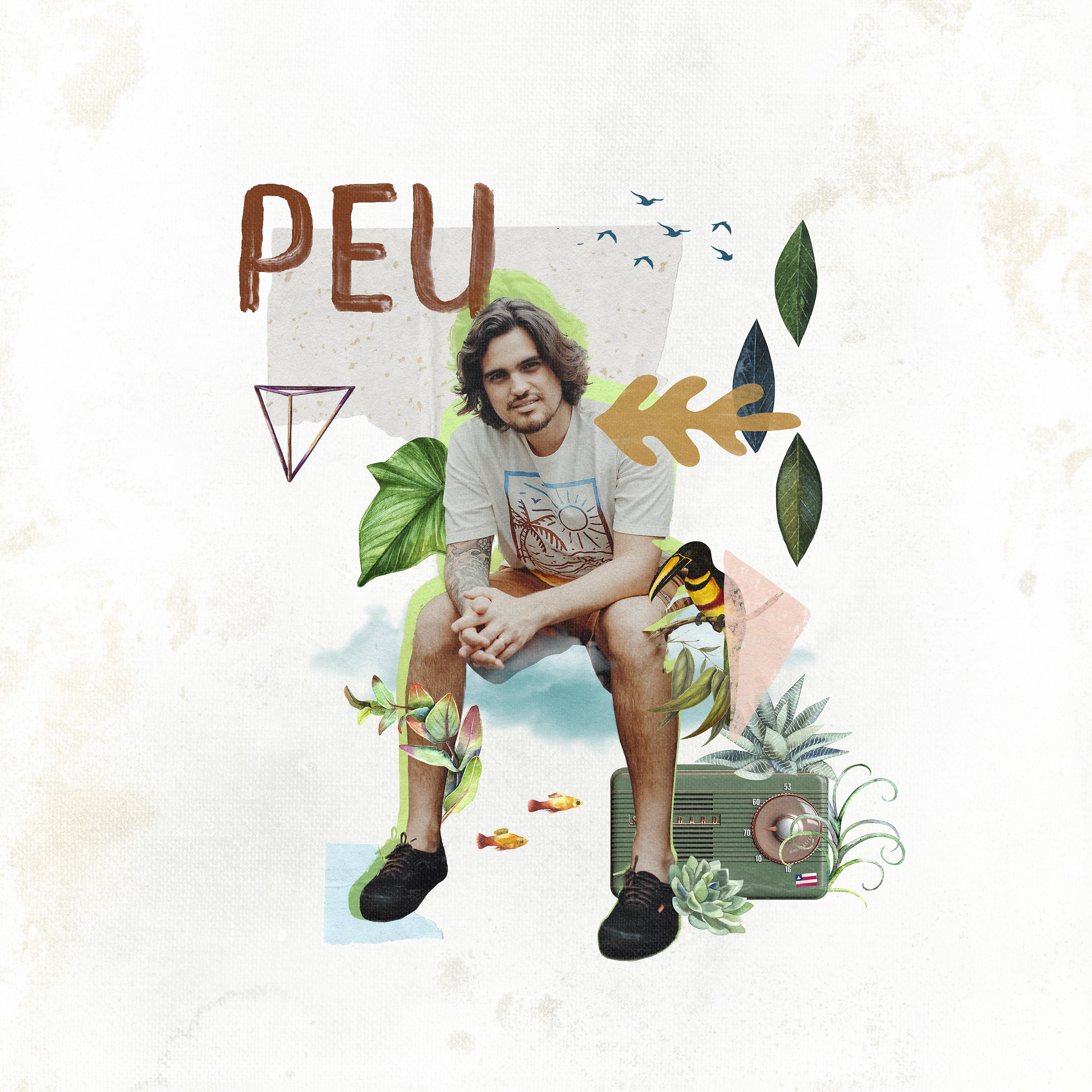 Постер альбома PEU