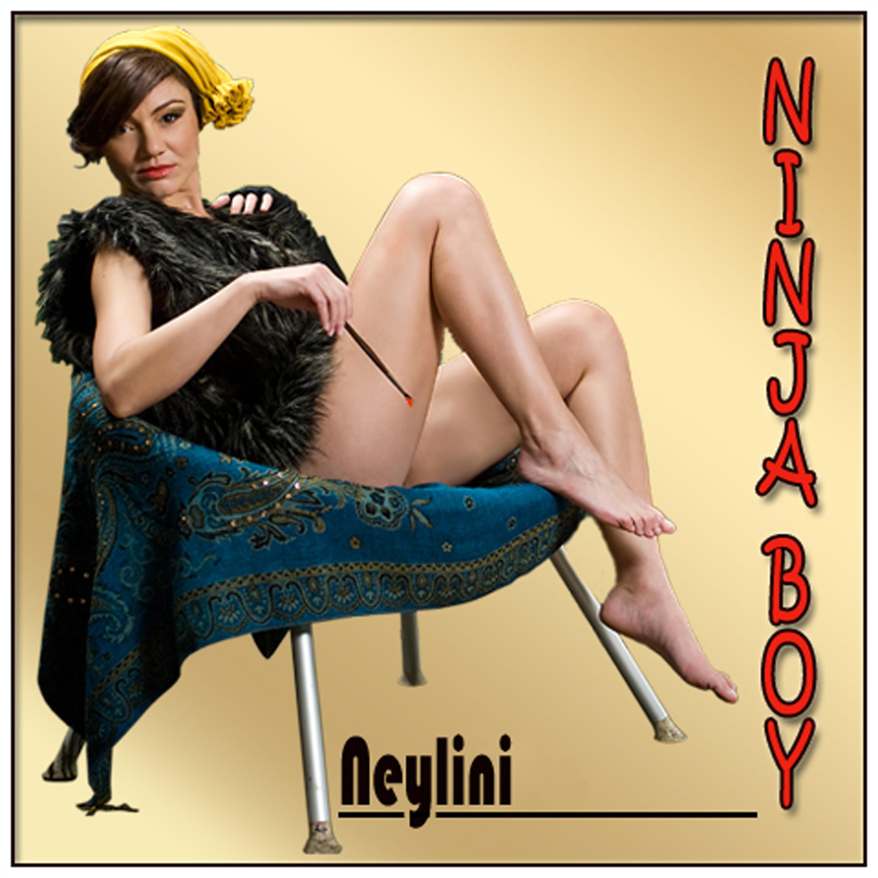 Постер альбома Ninja Boy