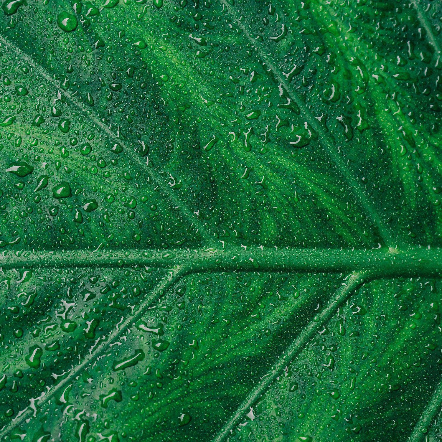 Sleep better with rainfall noise - Relaxing rainfall noises for sleep