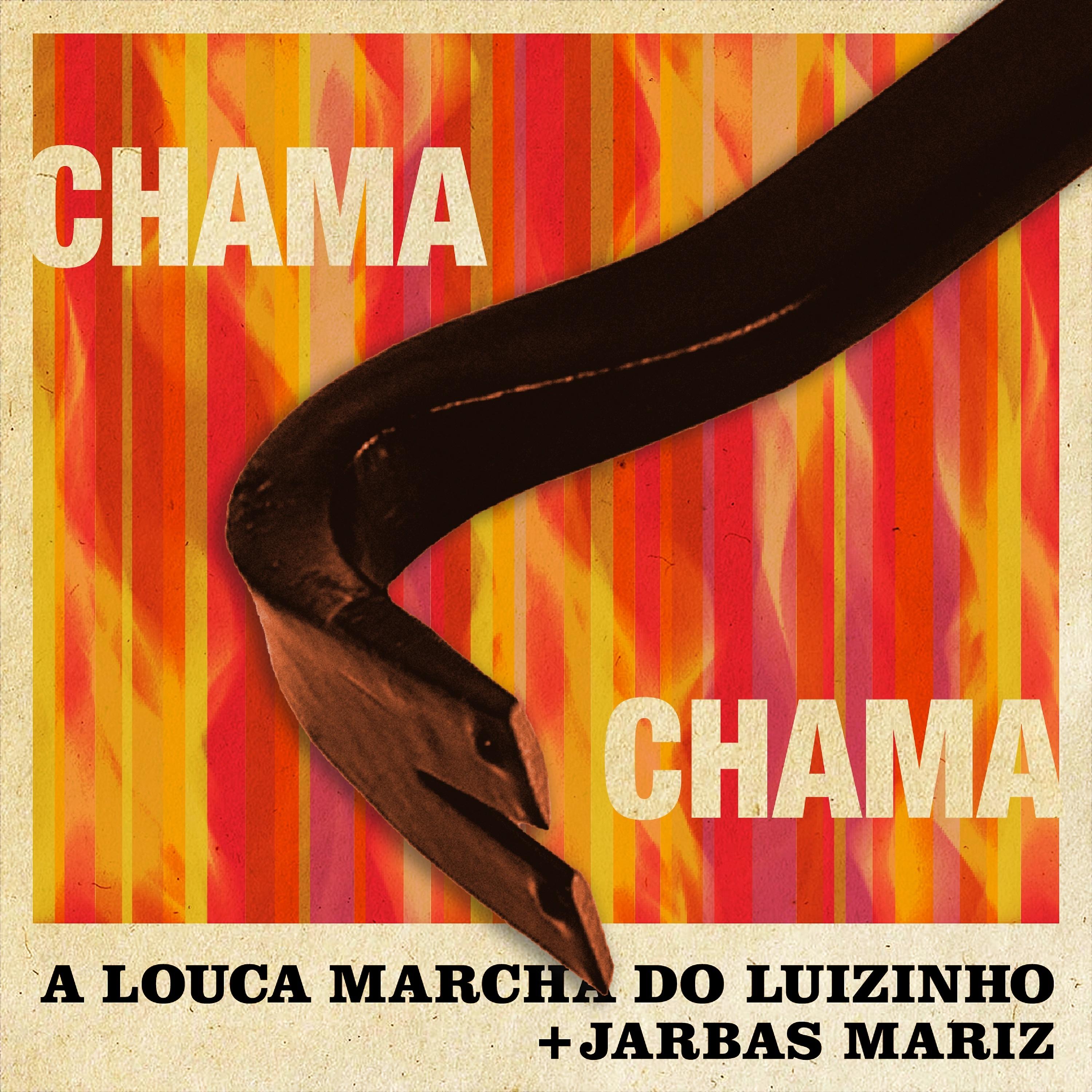 Постер альбома Chama Chama
