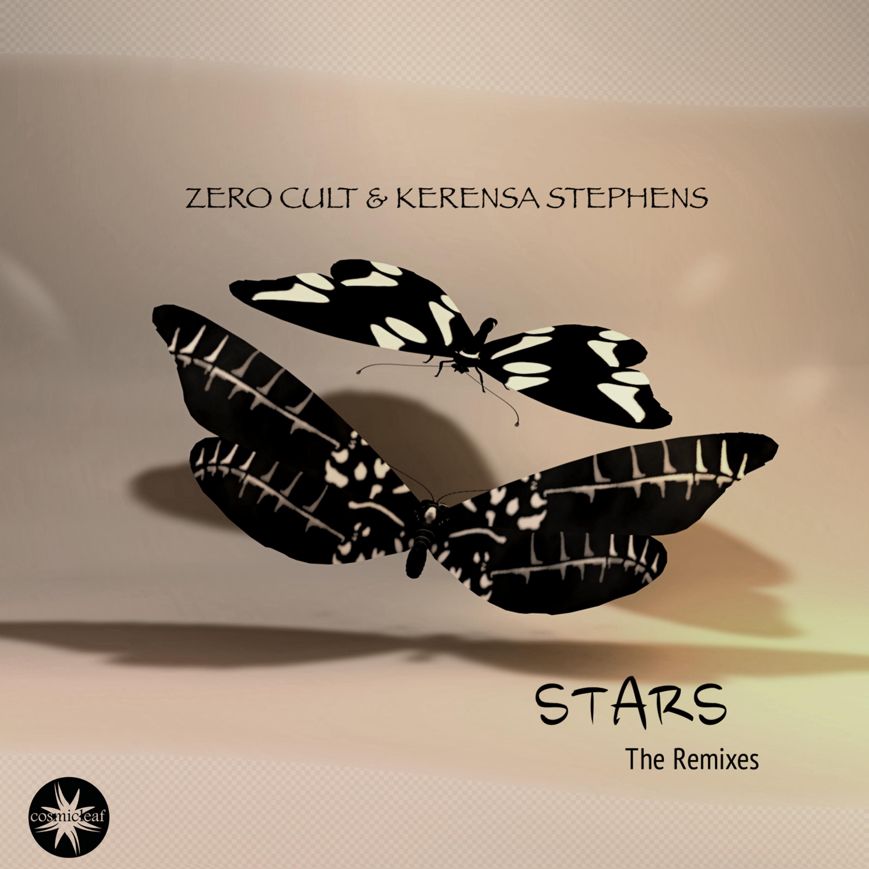 Постер альбома Stars (The Remixes)