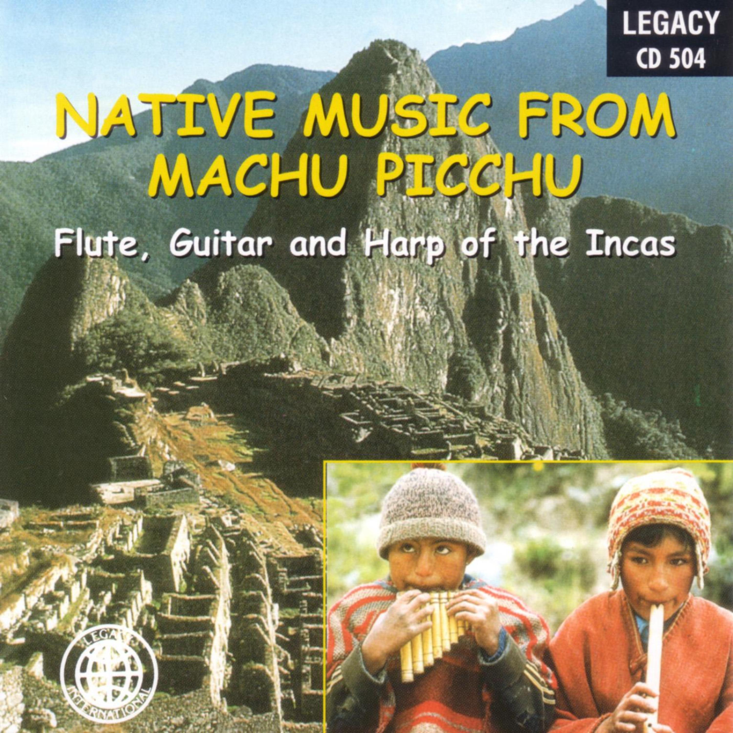 Постер альбома Native Music From Machu Picchu
