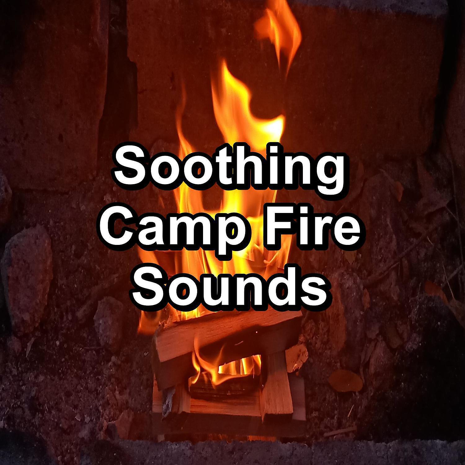 Fireplace FX Studio - Soothing Fireplaces Music