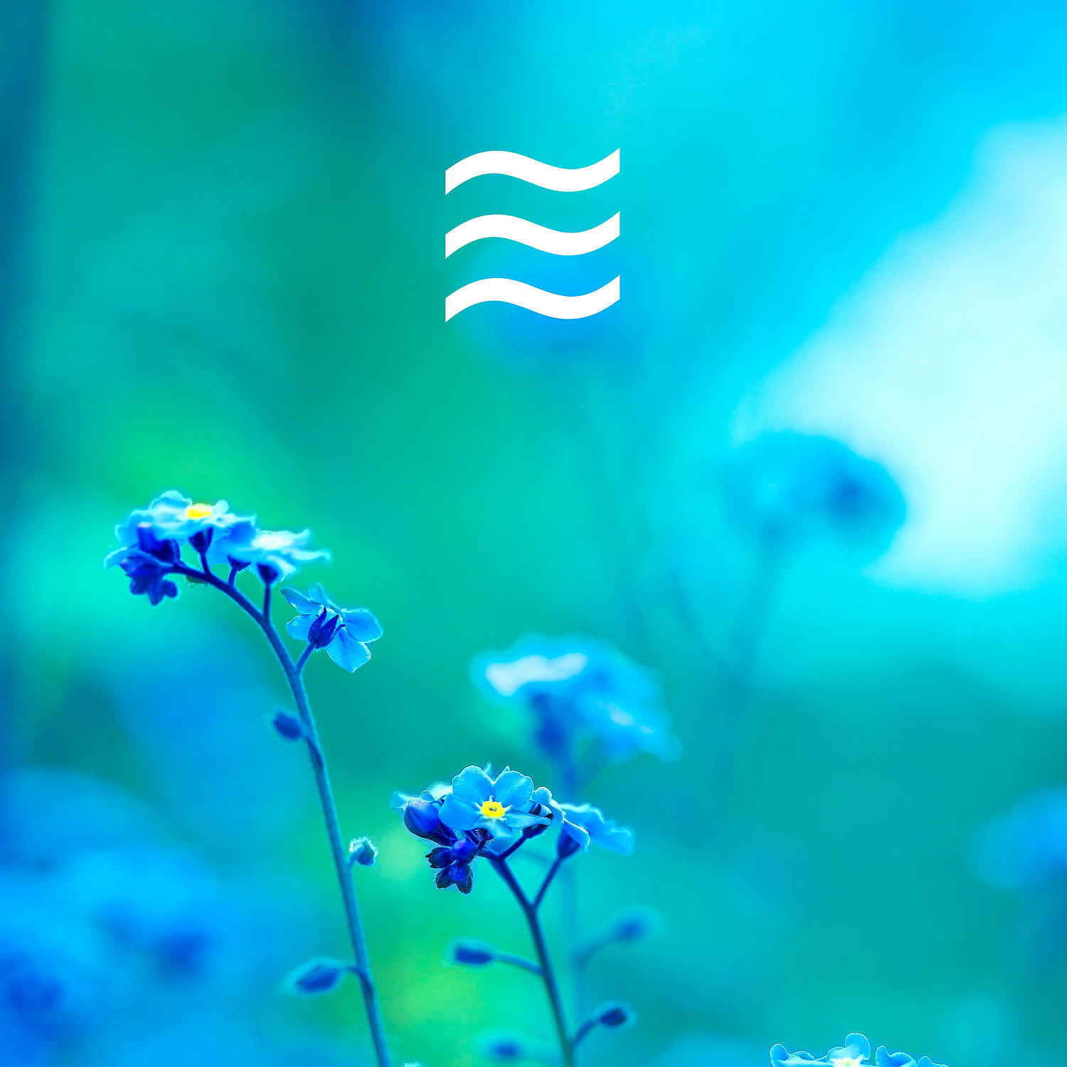 Smooth Mind Clear Ocean - Likable Soft Ocean Noise