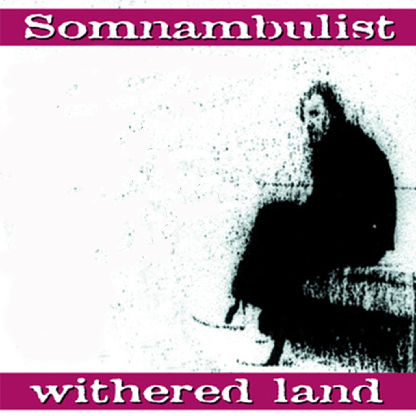 Постер альбома Withered Land