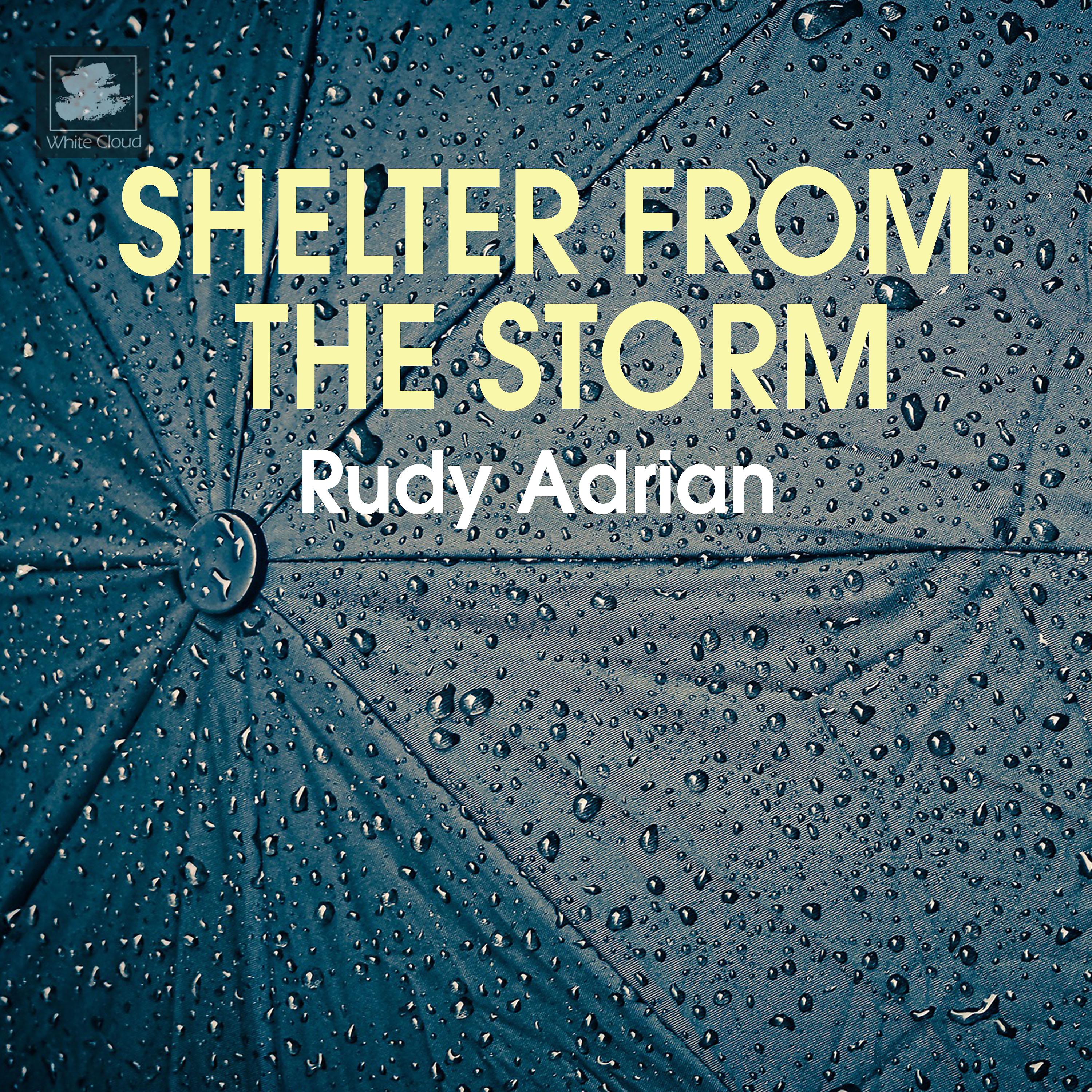 Постер альбома Shelter from the Storm