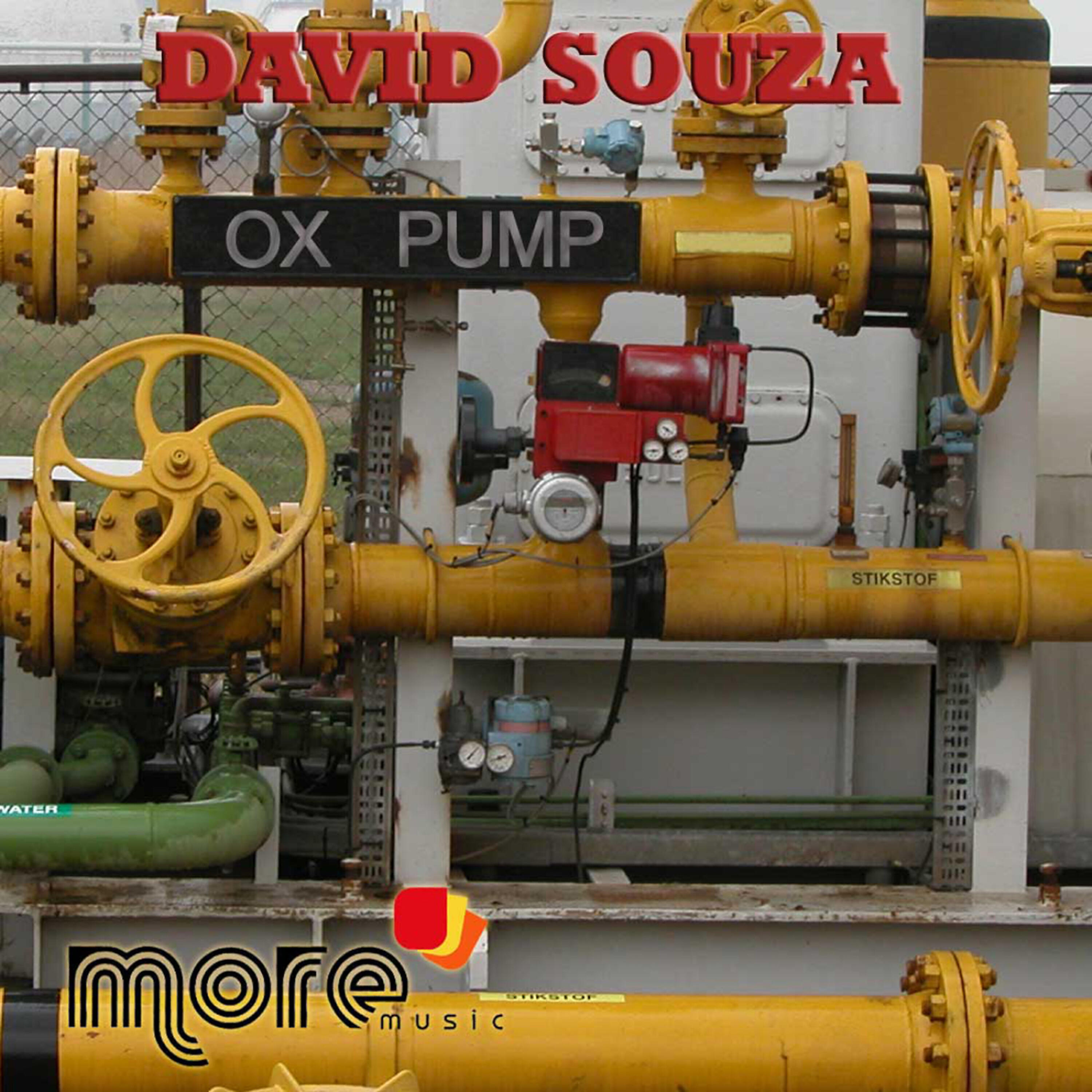 David Souza - Ox Pump (Raymond Mather 'Beans and Jam' Remix)