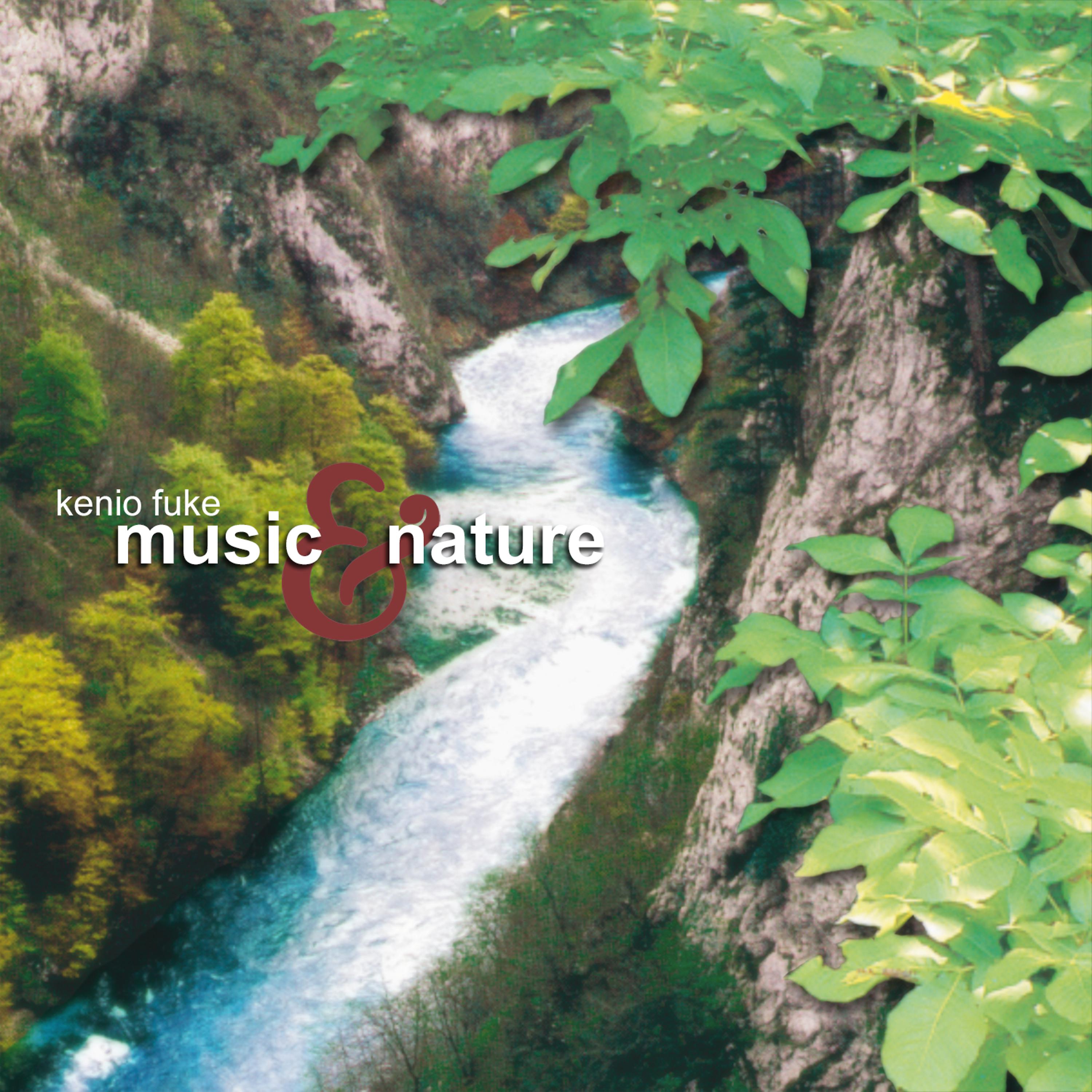 Постер альбома Music & Nature