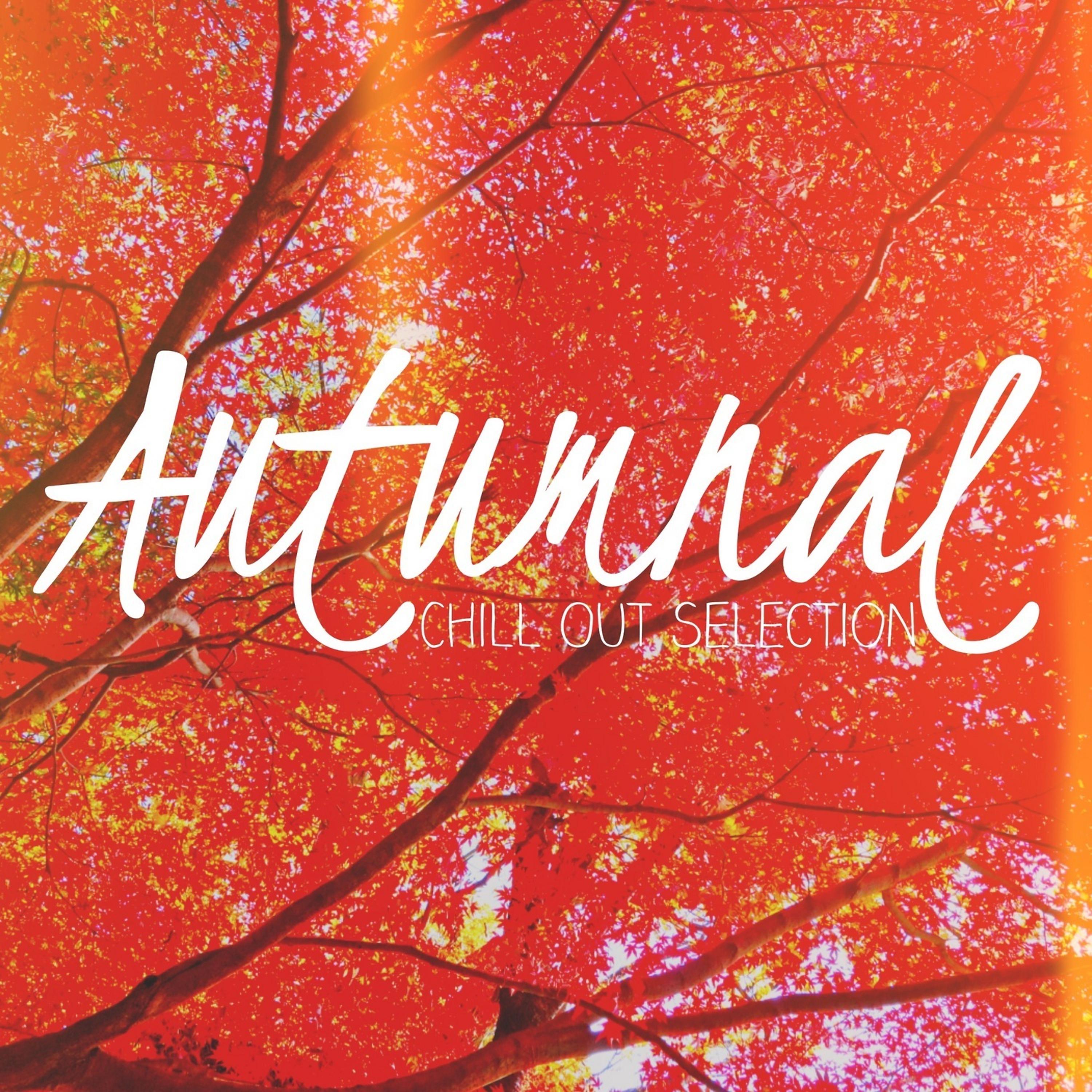 Постер альбома Autumnal Chill out Selection