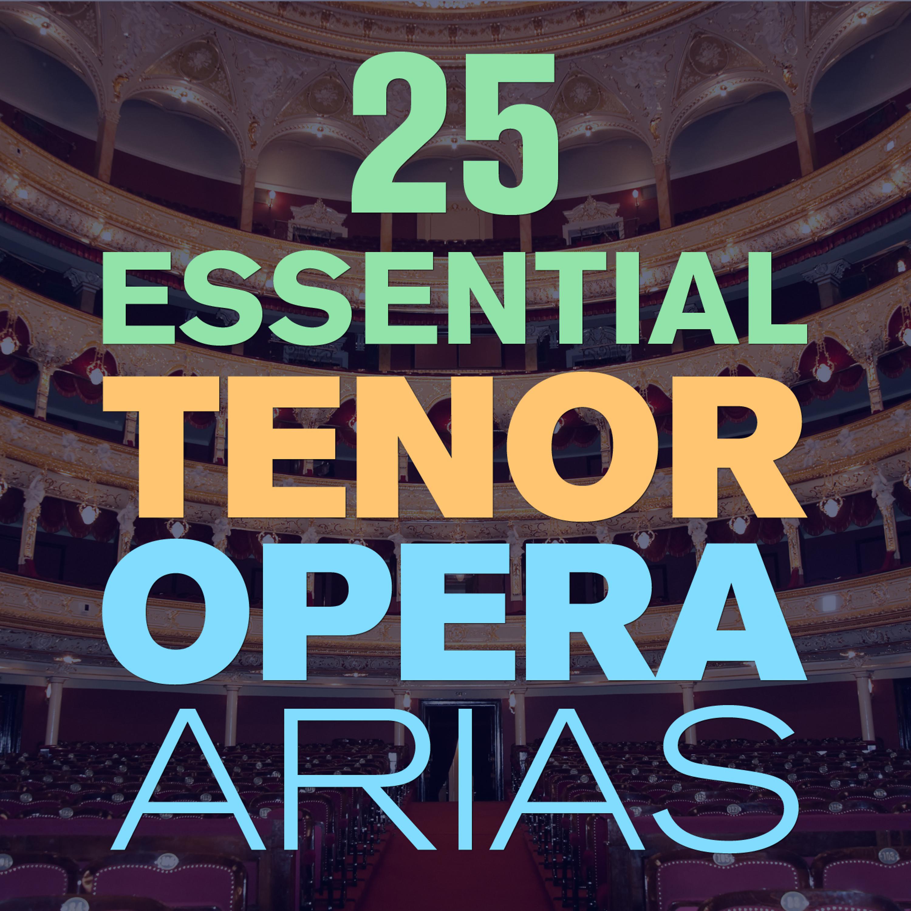 Постер альбома 25 Essential Tenor Opera Arias, Songs & Duets with  from Mozart, Puccini, Bizet, Verdi, Donizetti & More