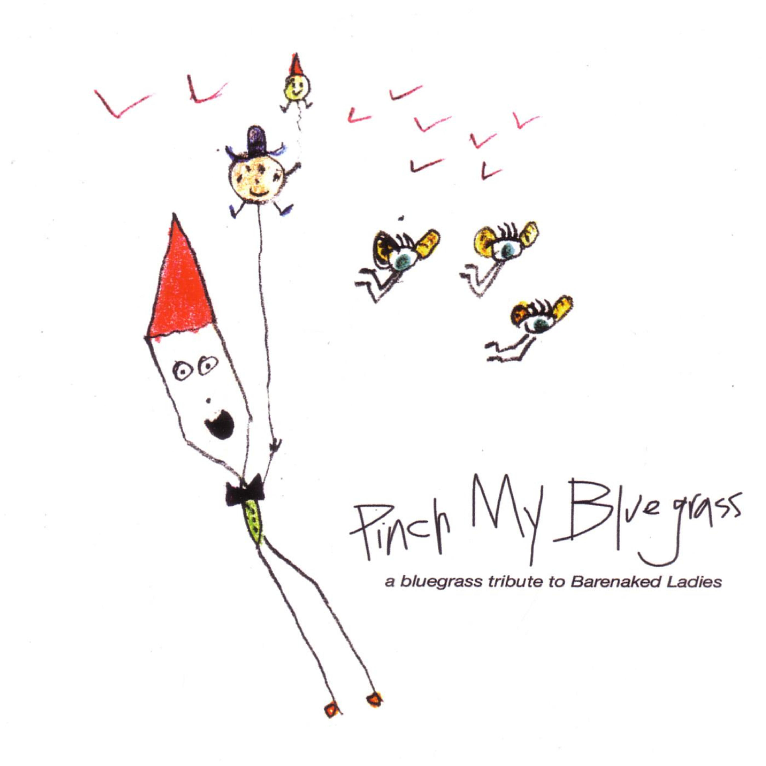 PIckin' On Series - If I Had a Million Dollars