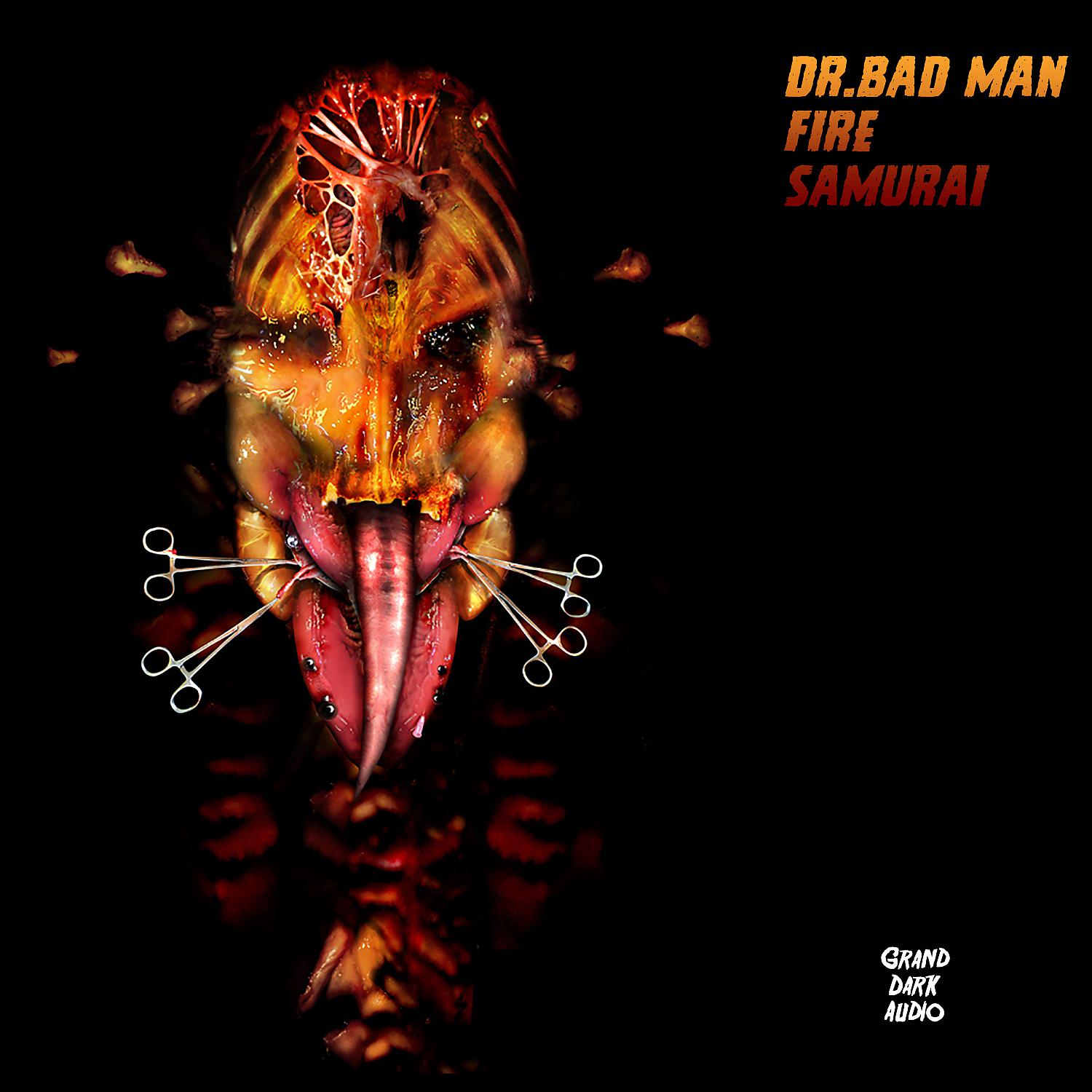 Постер альбома Fire Samurai
