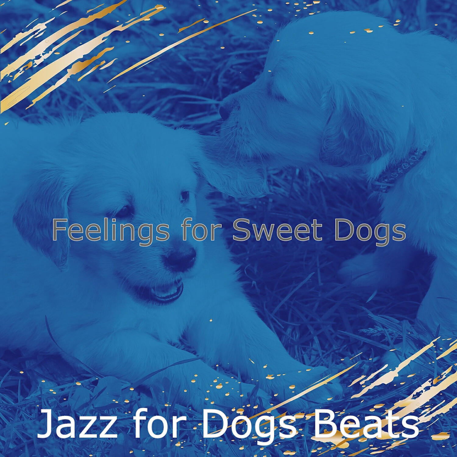 Jazz for Dogs Beats - Calm Music for Morning Dog Walks