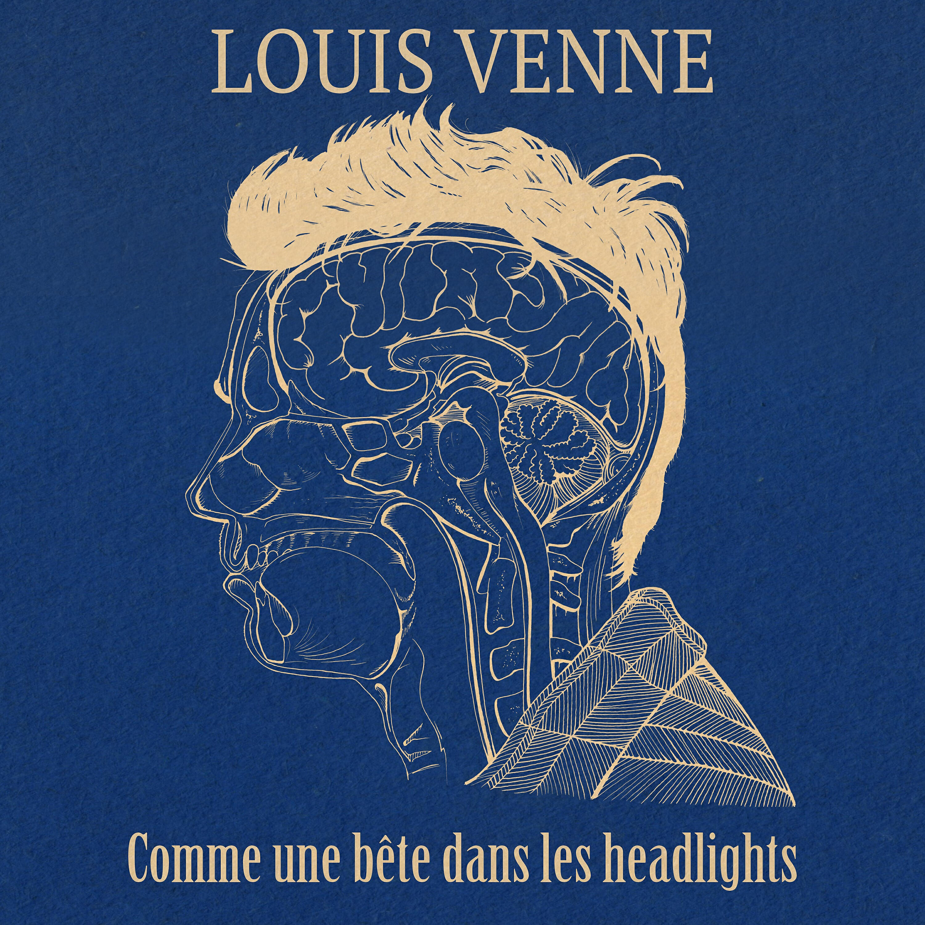 Louis Venne - Plaine (Live)