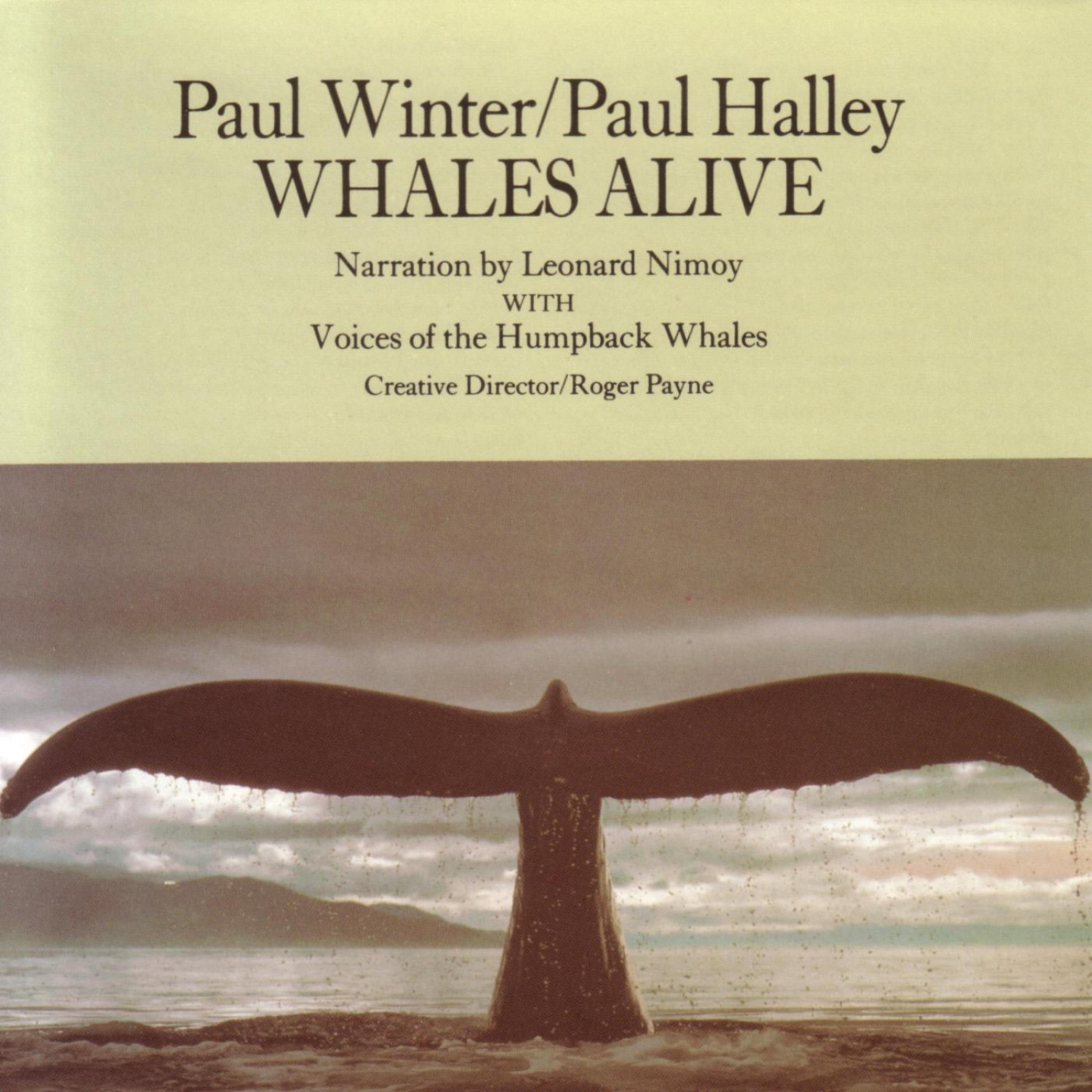 Постер альбома Whales Alive