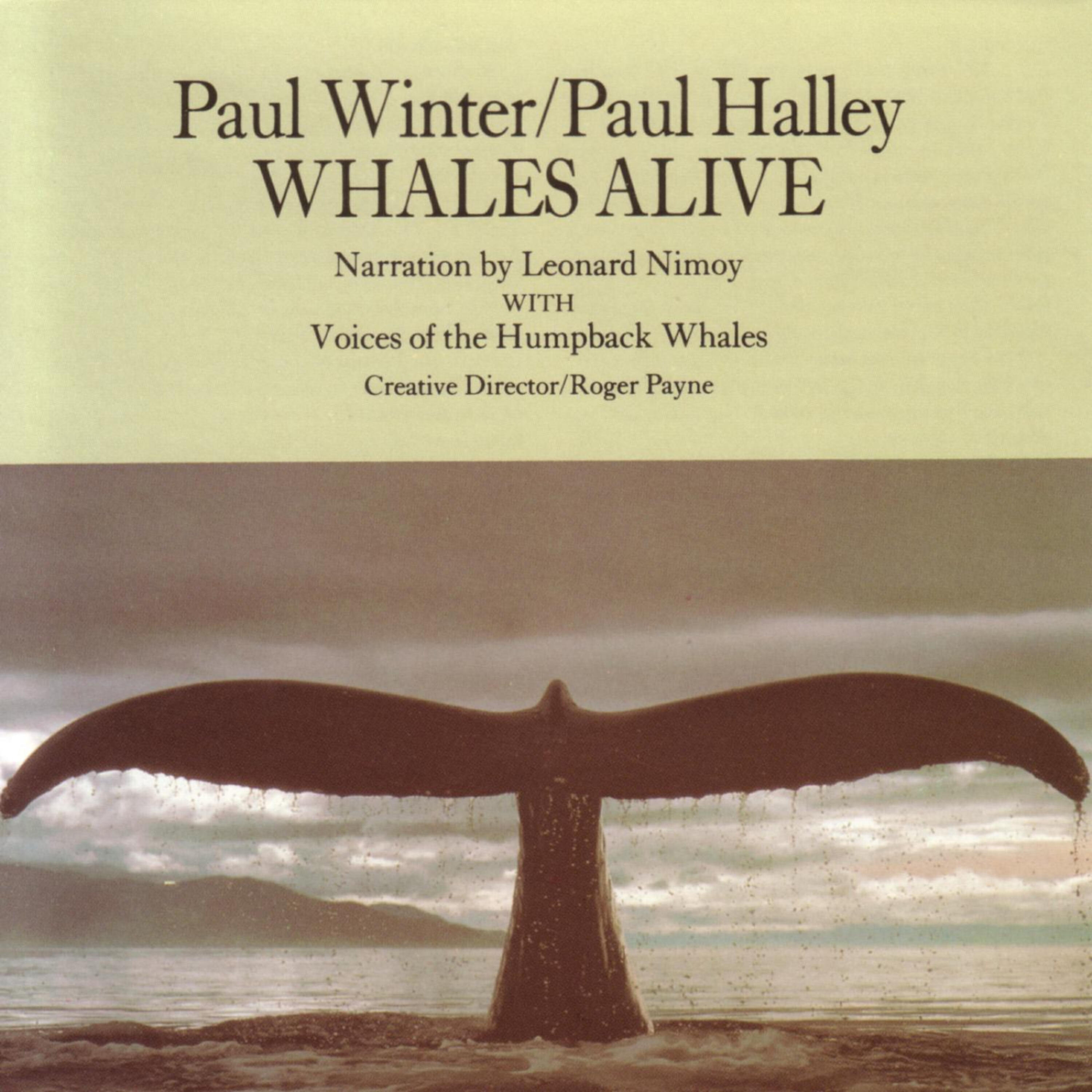 Humpback Whales - George And Gracie