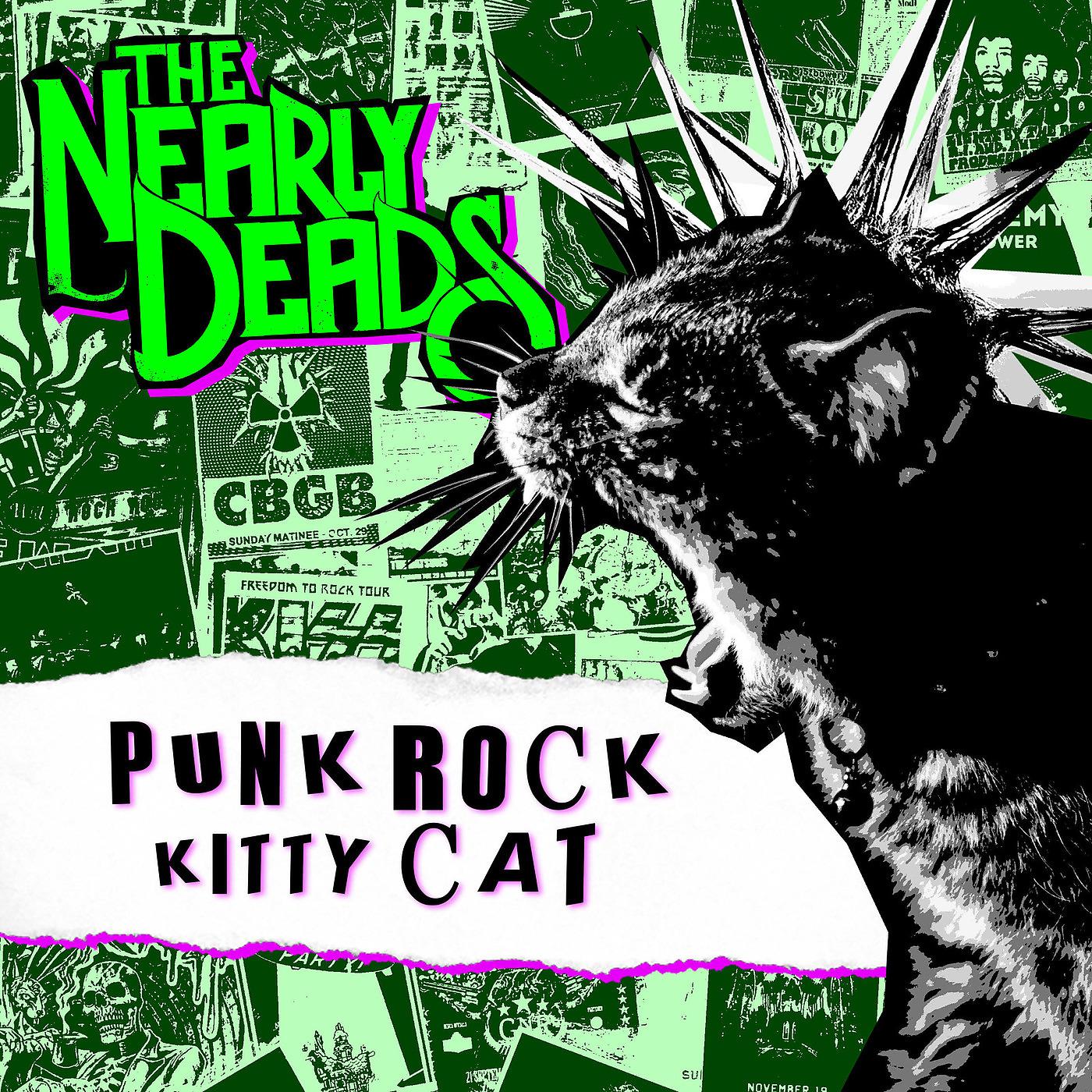 Постер альбома Punk Rock Kitty Cat