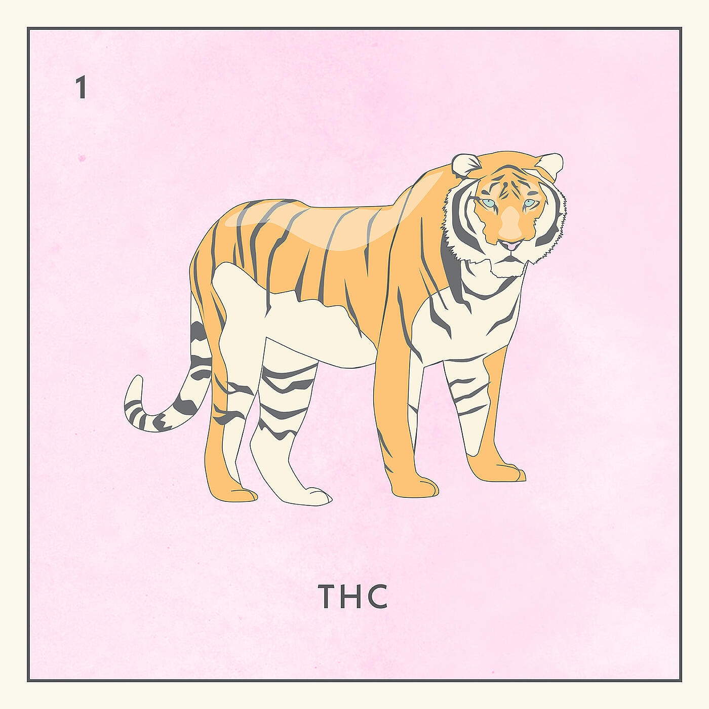 Malory - THC