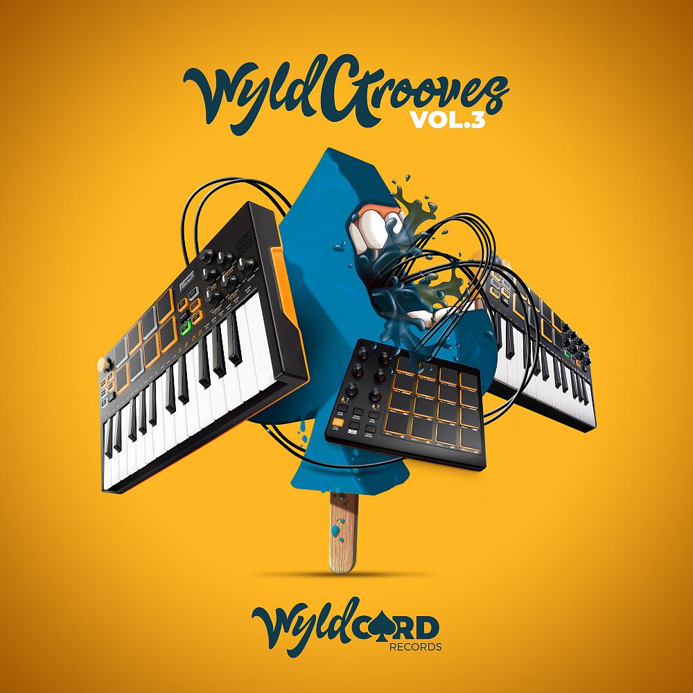 Постер альбома WyldGrooves, Vol. 3