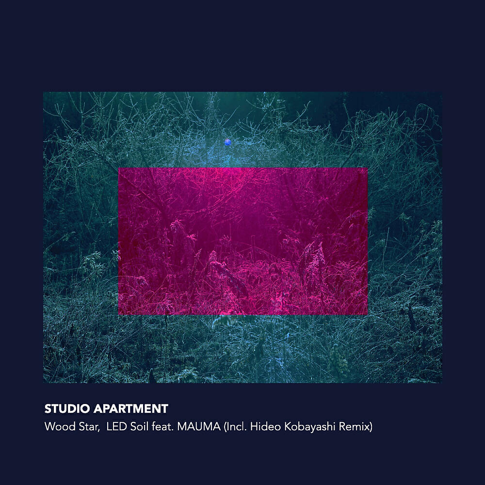 STUDIO APARTMENT - LED Soil