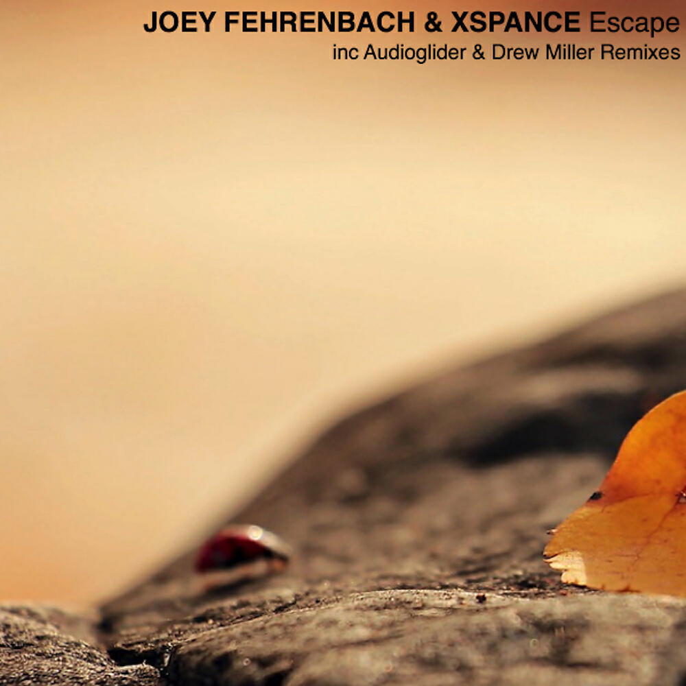 Joey Fehrenbach - Escape (Audioglider Remix)