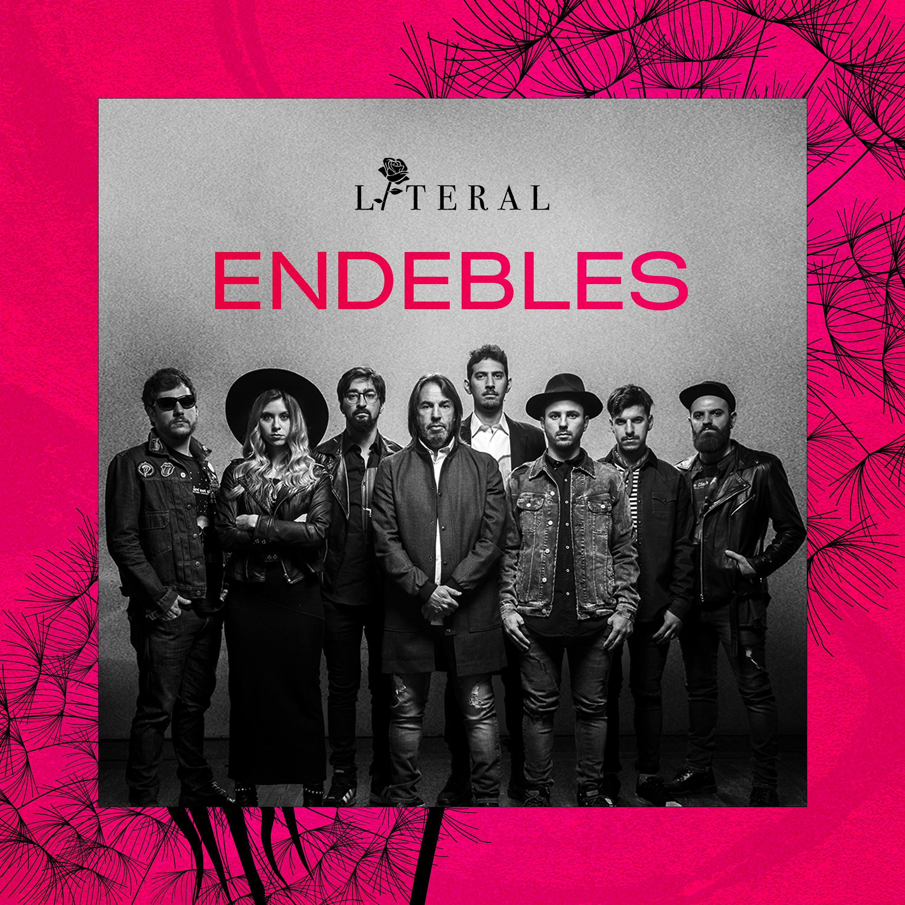 Постер альбома Endebles