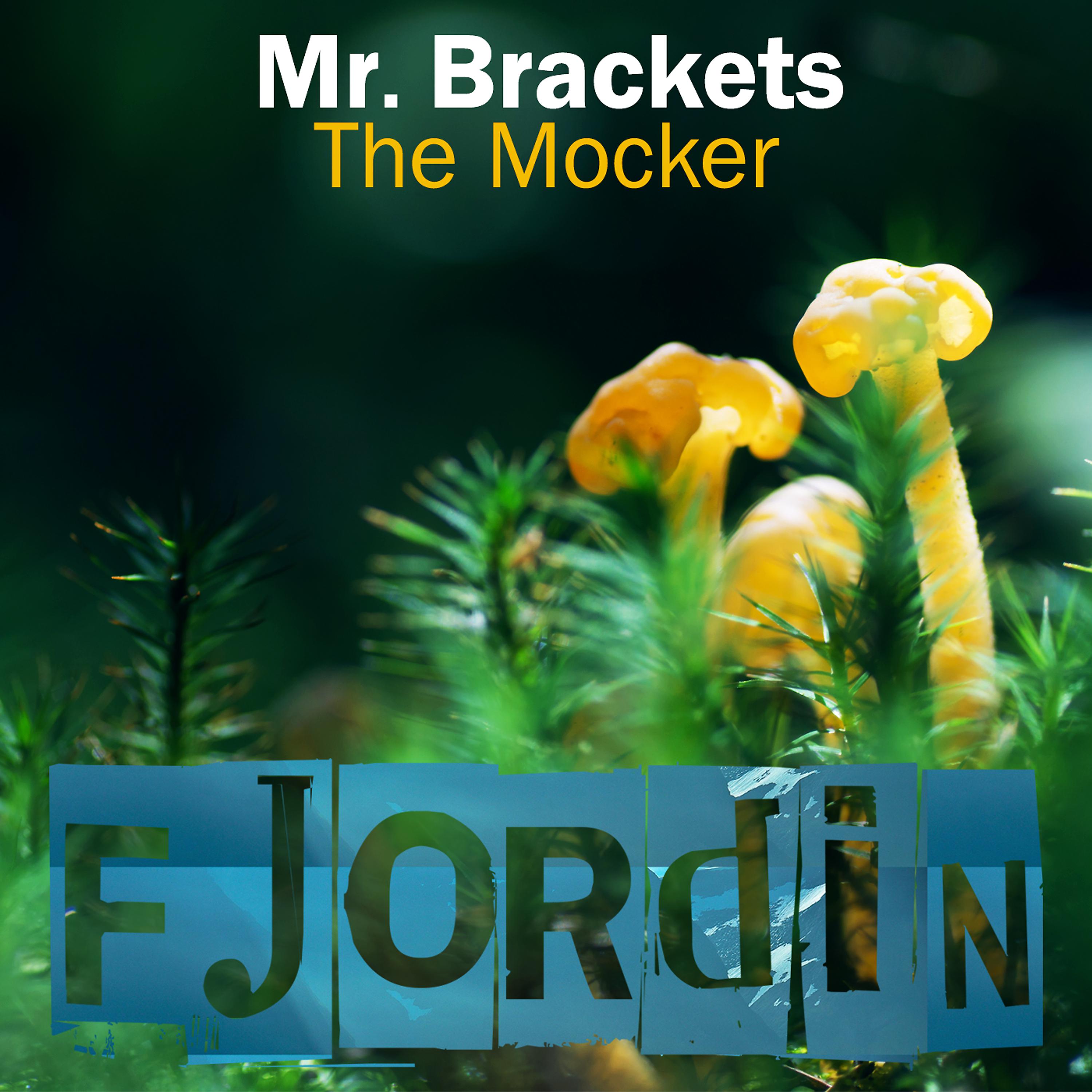 Постер альбома The Mocker