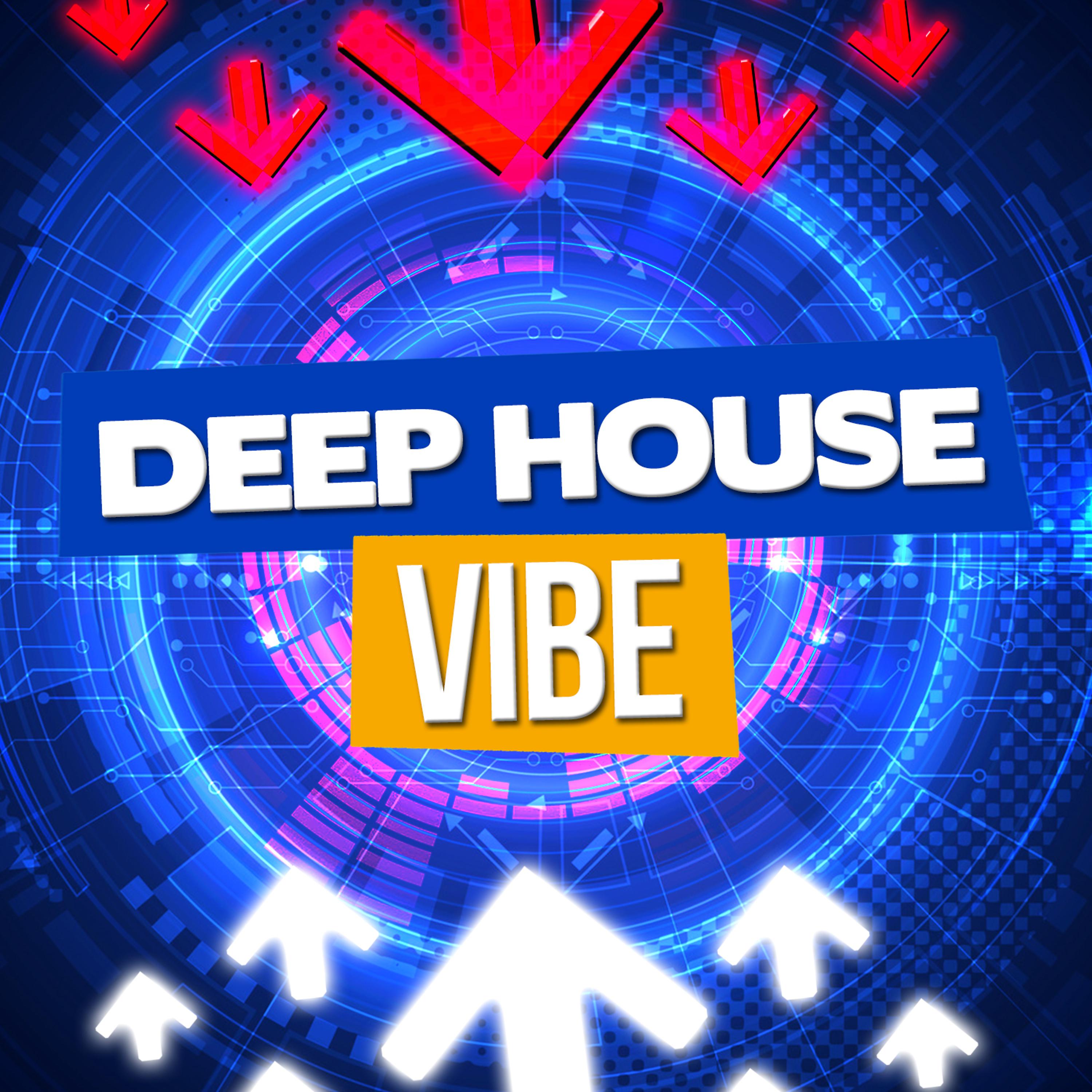 Постер альбома Deep House Vibe