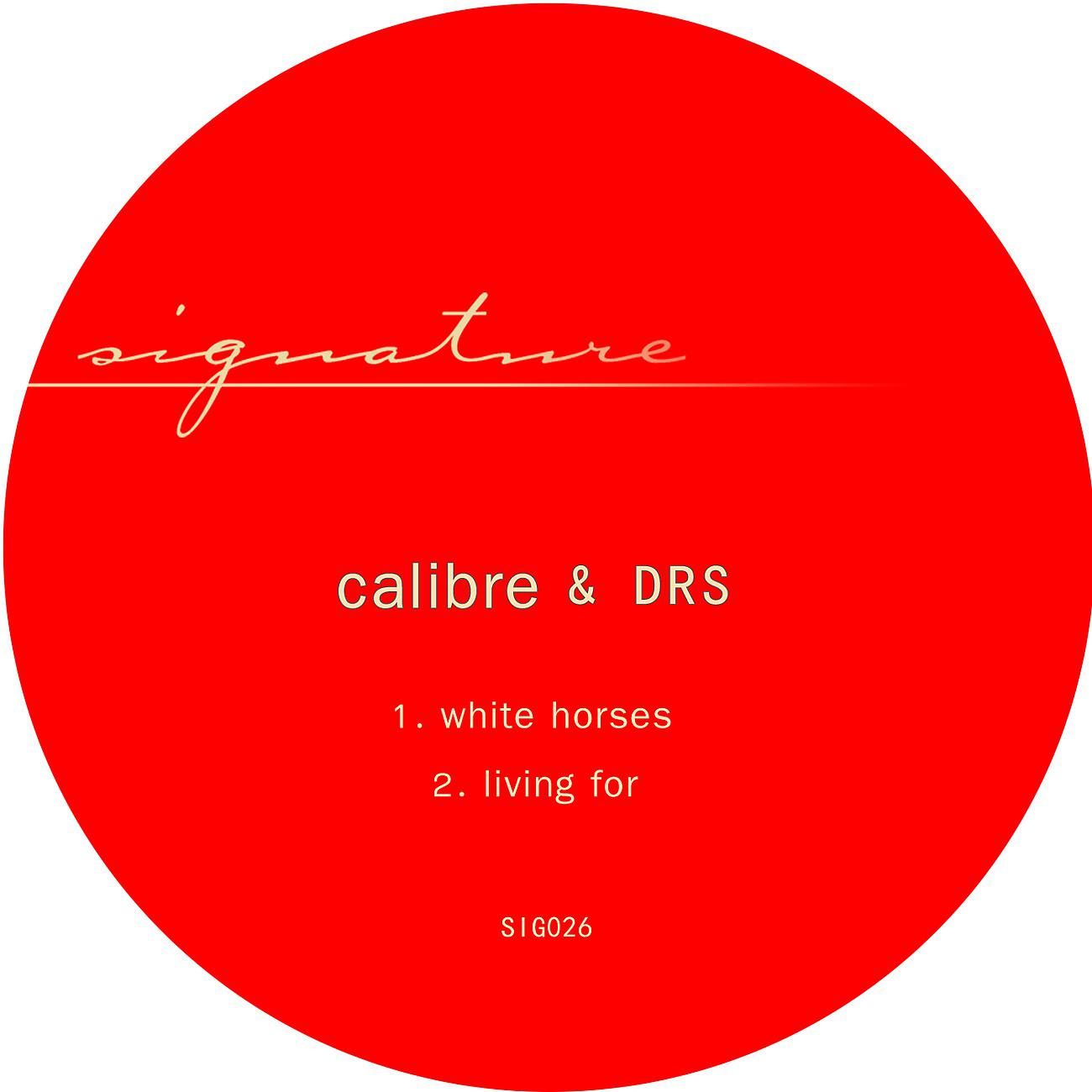 Постер альбома white horses / living for