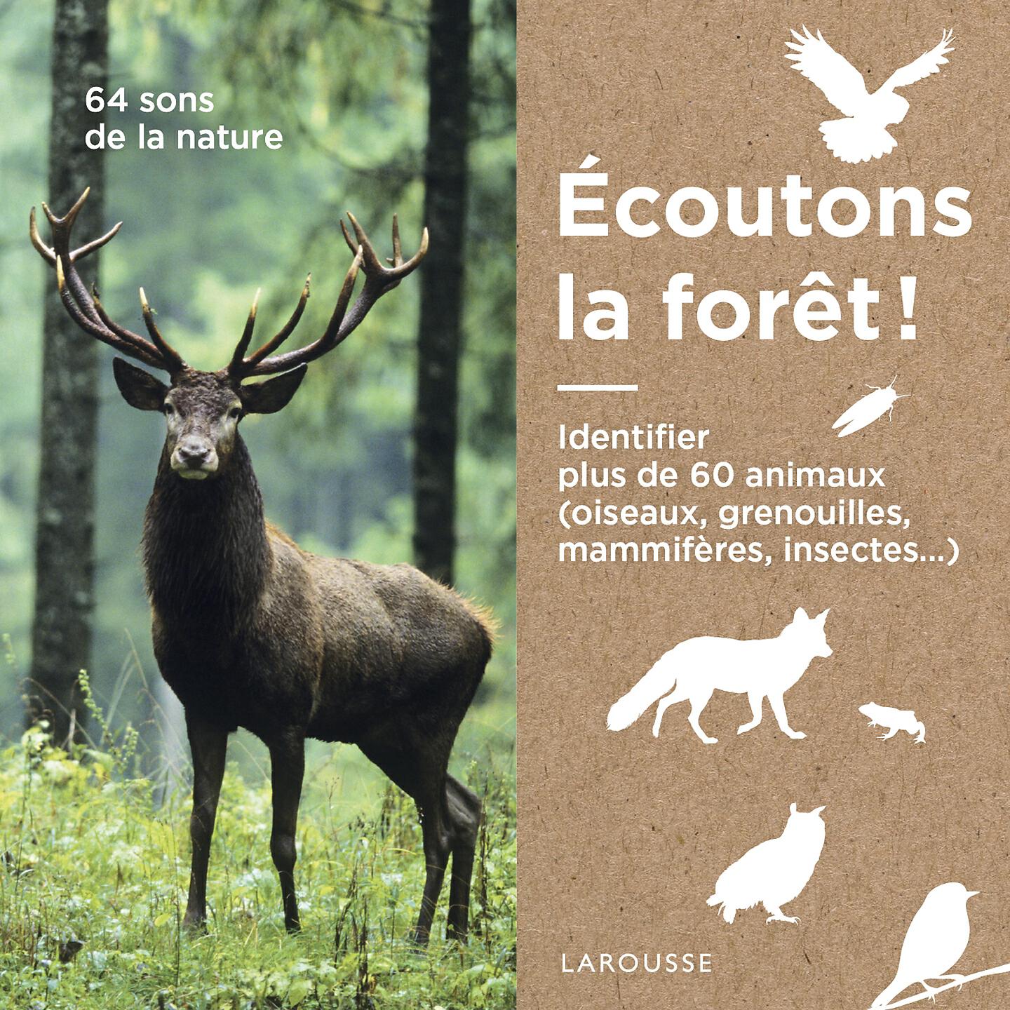 Sons De La Nature - Le Renard Roux