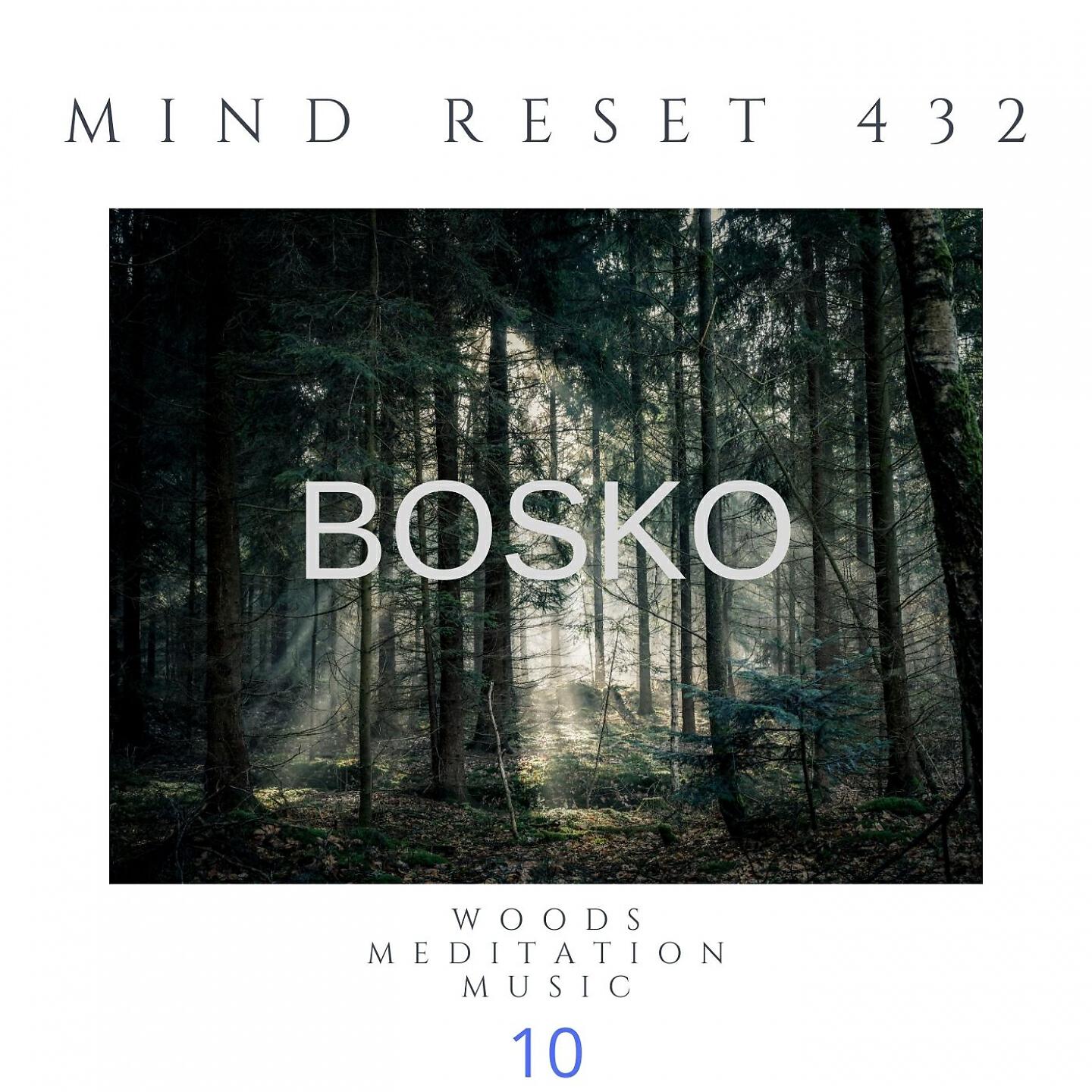 Mind Reset 432 - BOSKO Woods meditation music (10)