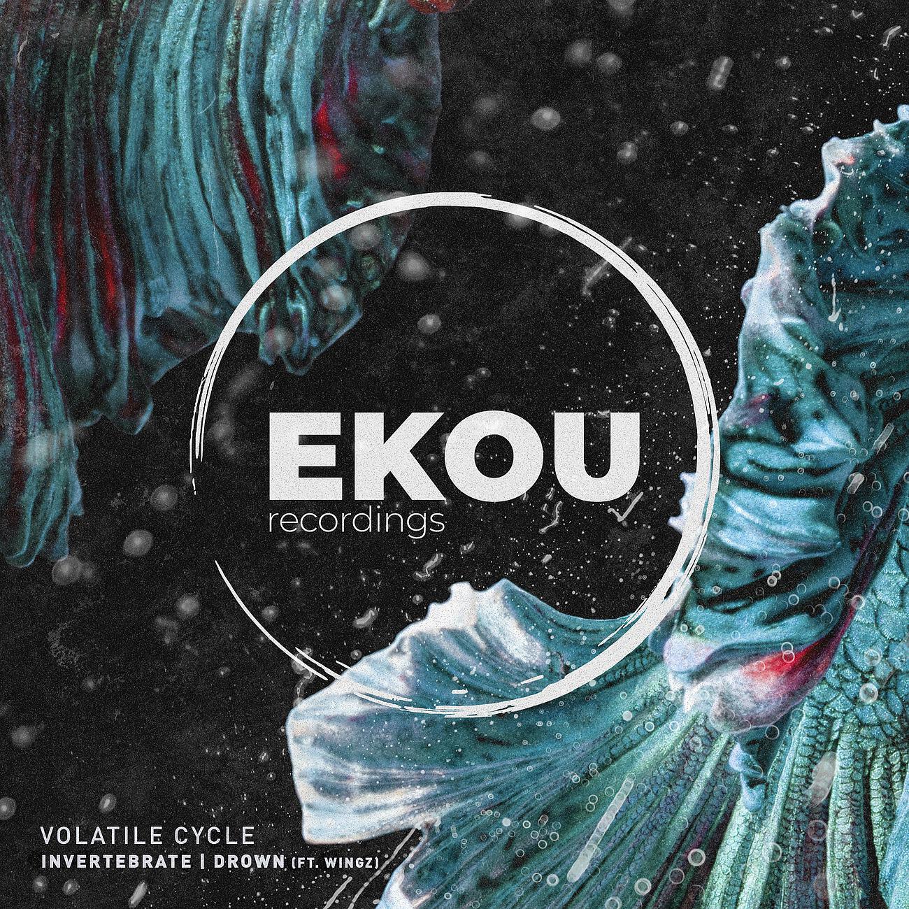 Volatile Cycle - Invertebrate (Original Mix)