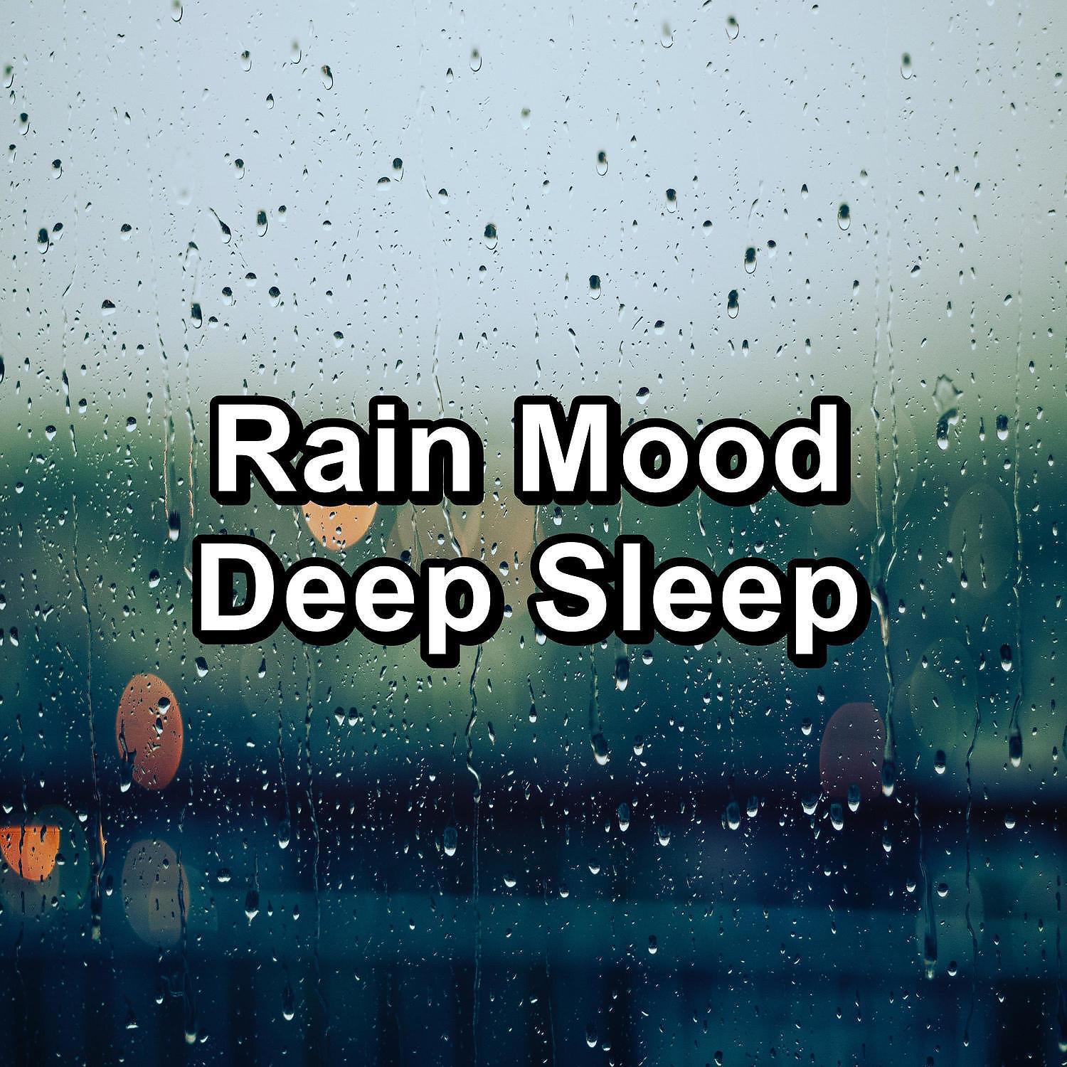 Постер альбома Rain Mood Deep Sleep