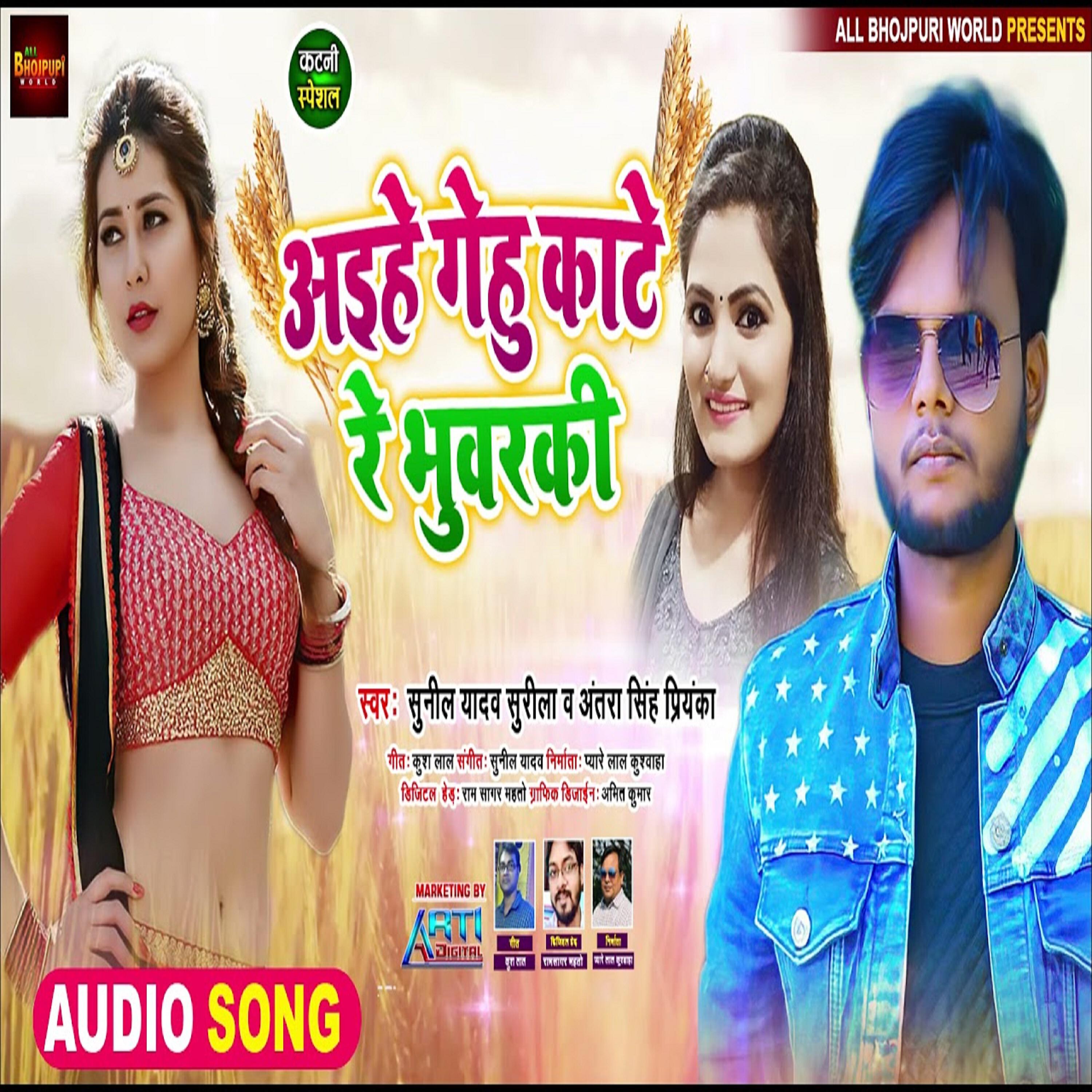 Sunil Yadav Surila - Aihe Gehu Kate Re bhuwarki