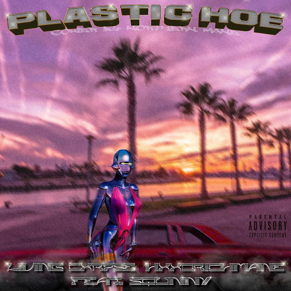 Постер альбома Plastic Hoe
