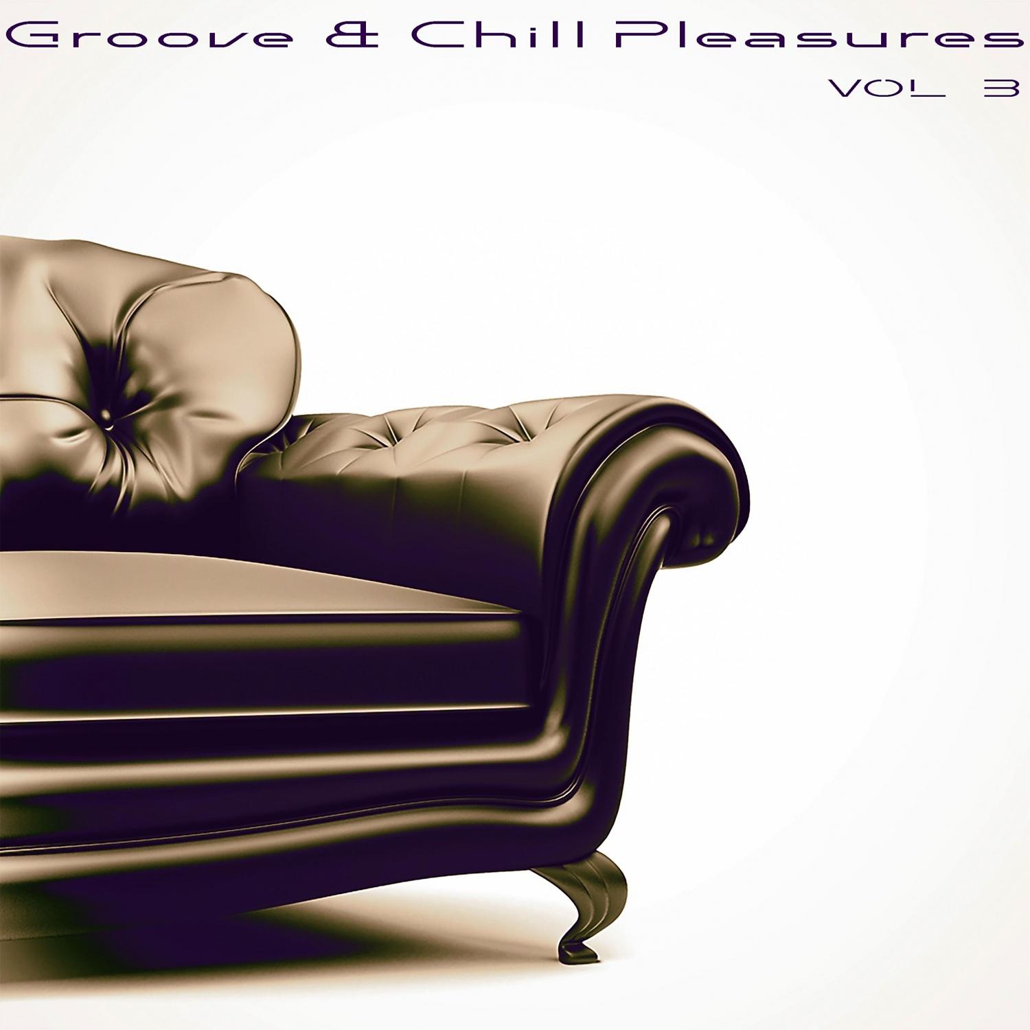 Постер альбома Groove & Chill Pleasures, Vol. 3