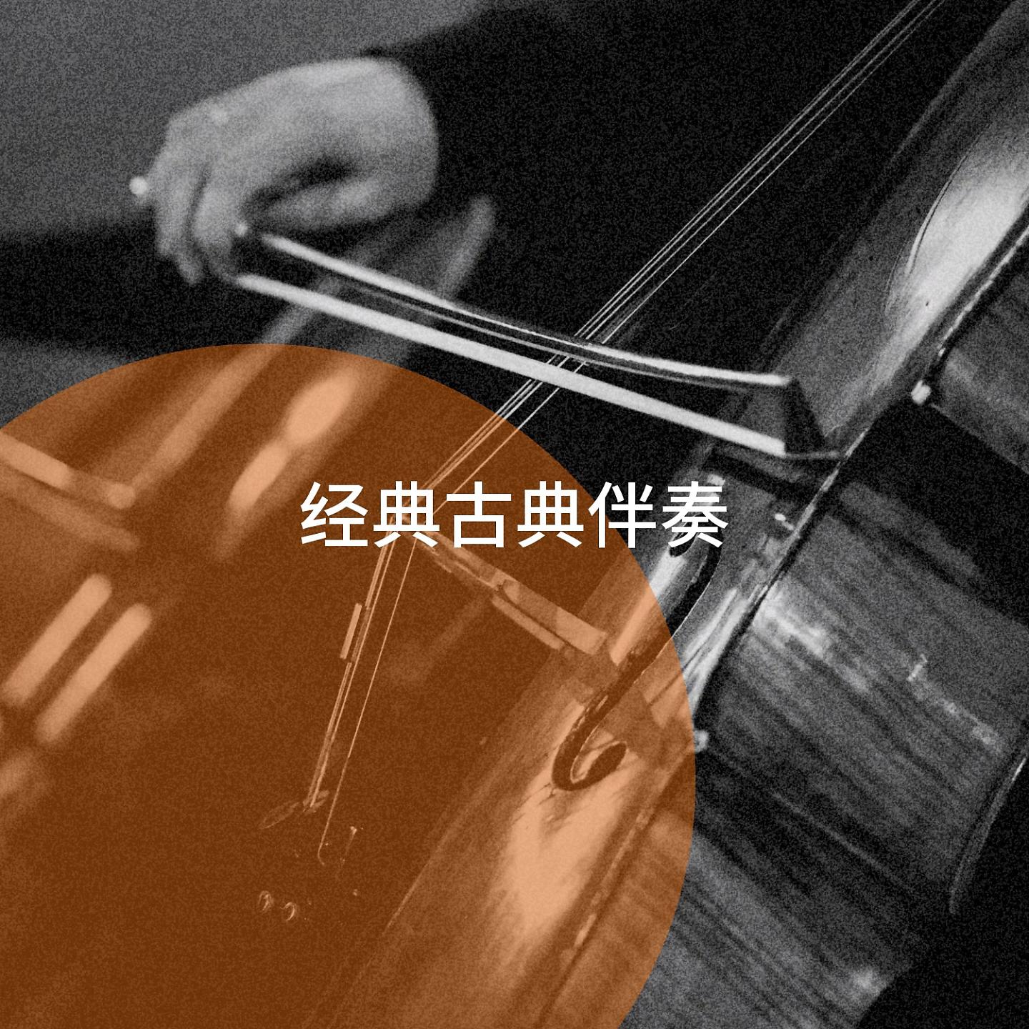 Постер альбома 经典古典伴奏