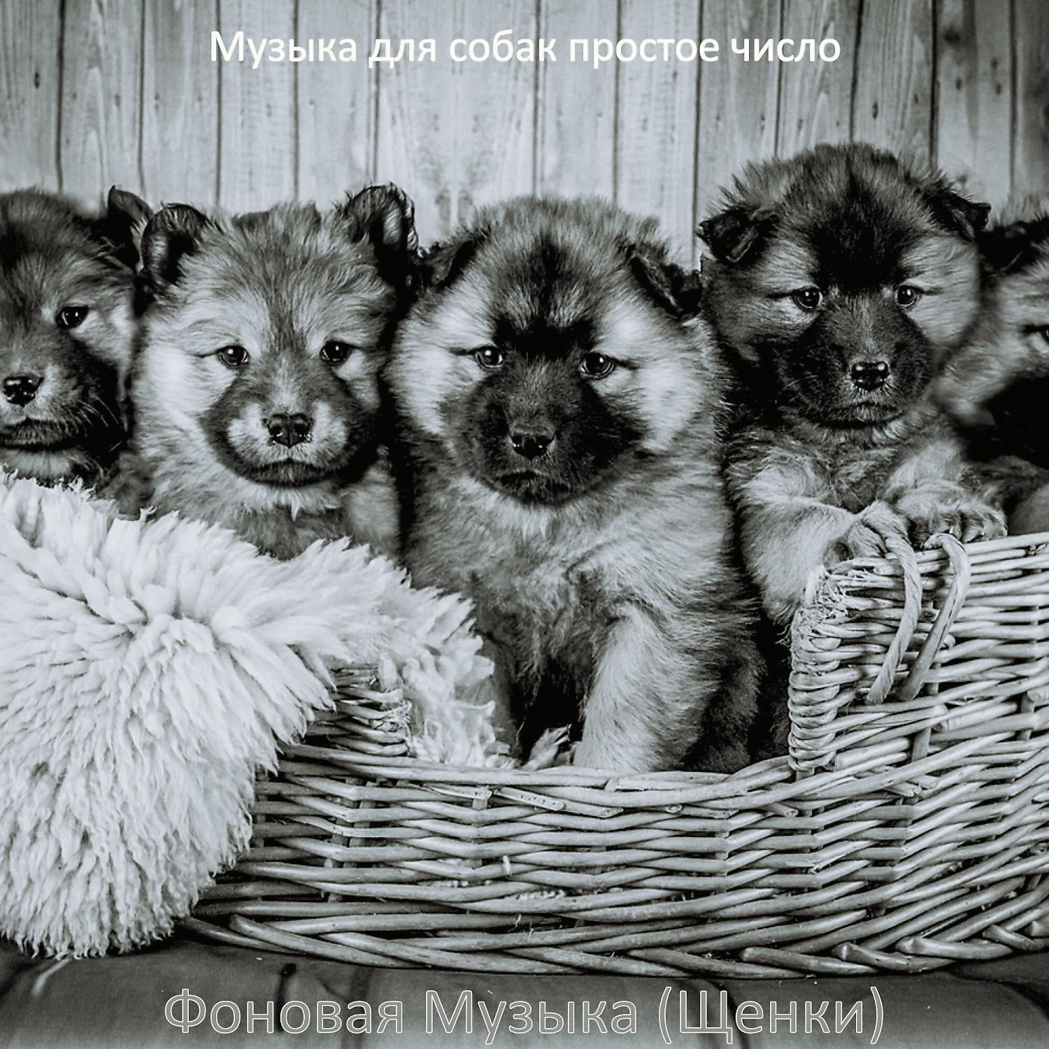 Постер альбома Фоновая Музыка (Щенки)