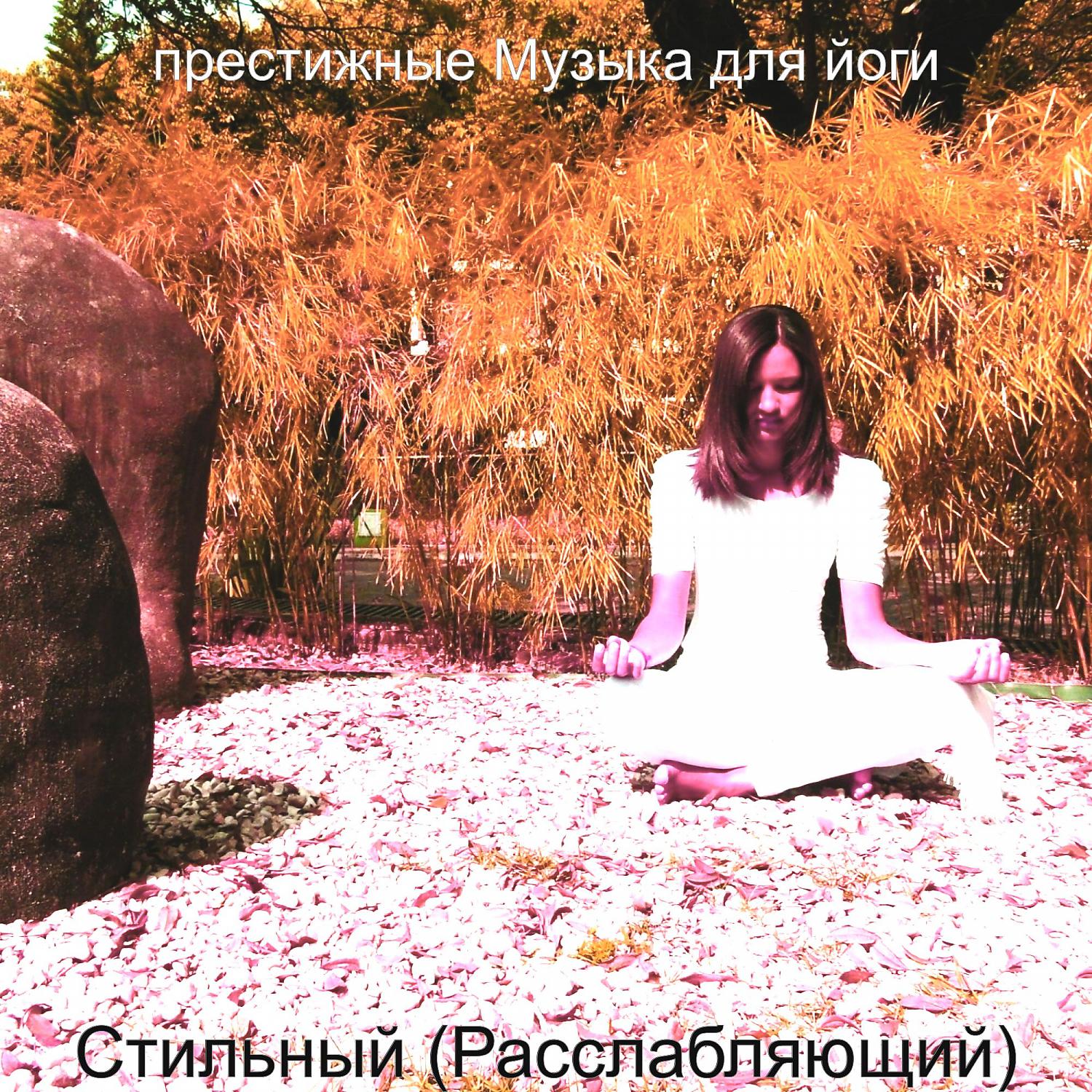 Постер альбома Стильный (Расслабляющий)