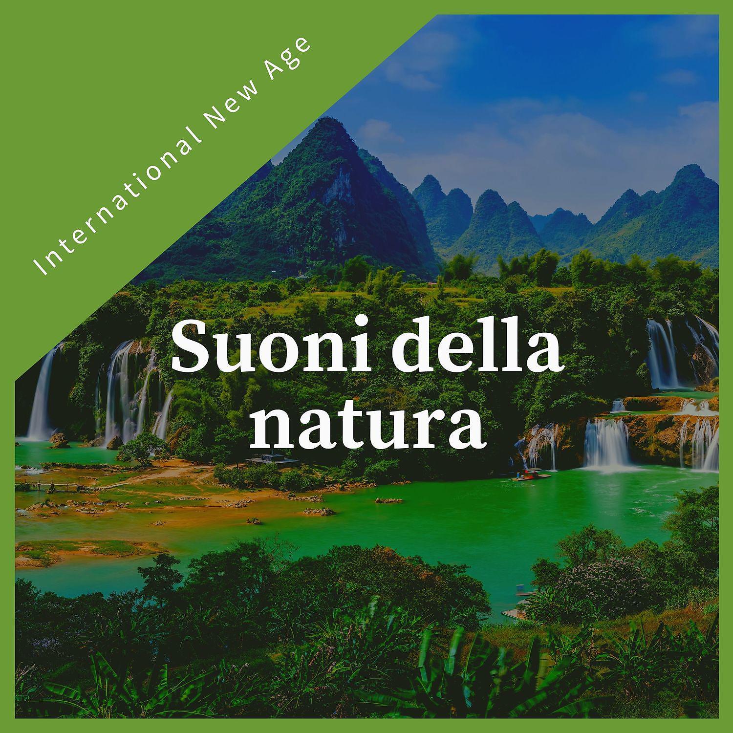 Постер альбома Suoni della natura - Calma musica new age