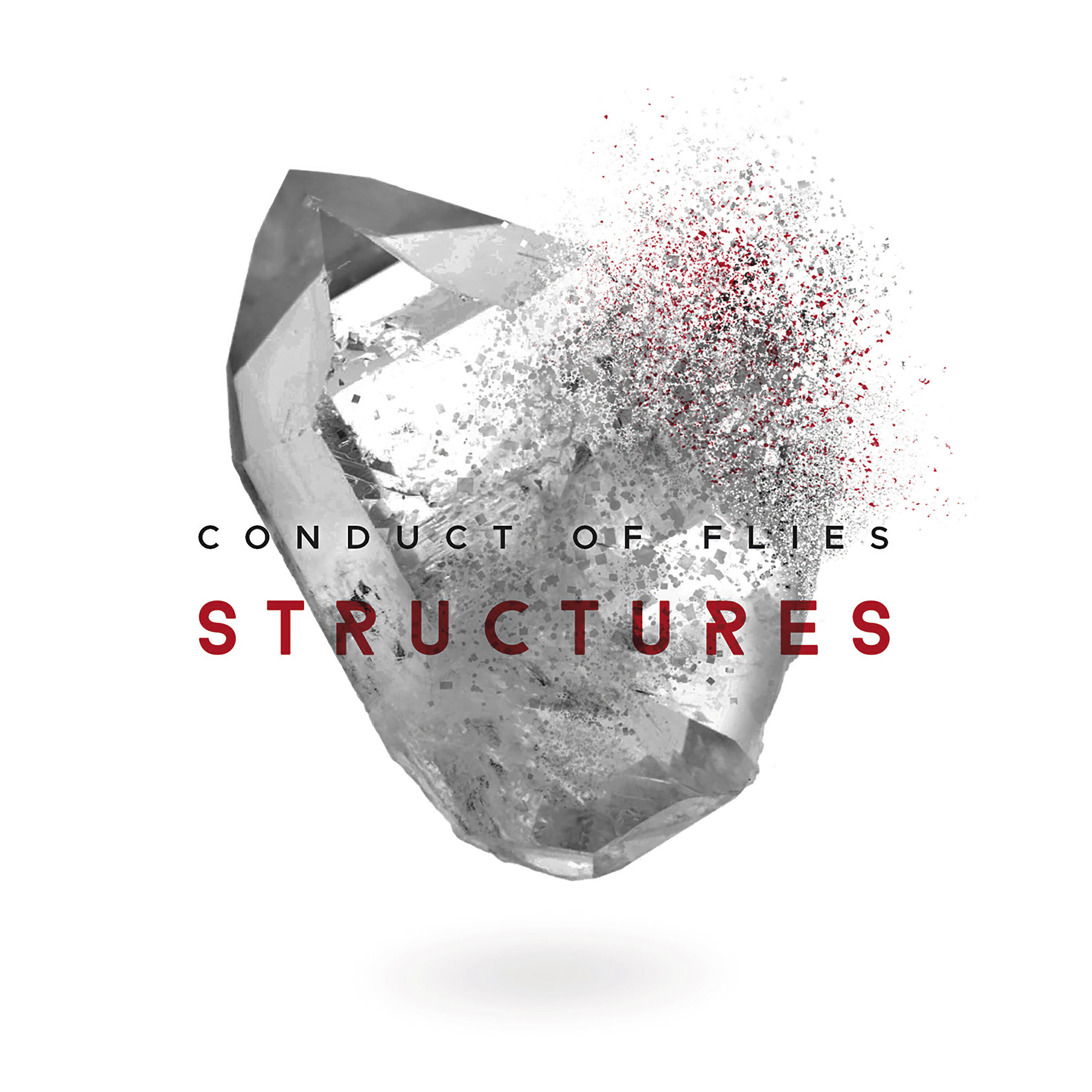 Conduct Of Flies - Raining Dead Crows