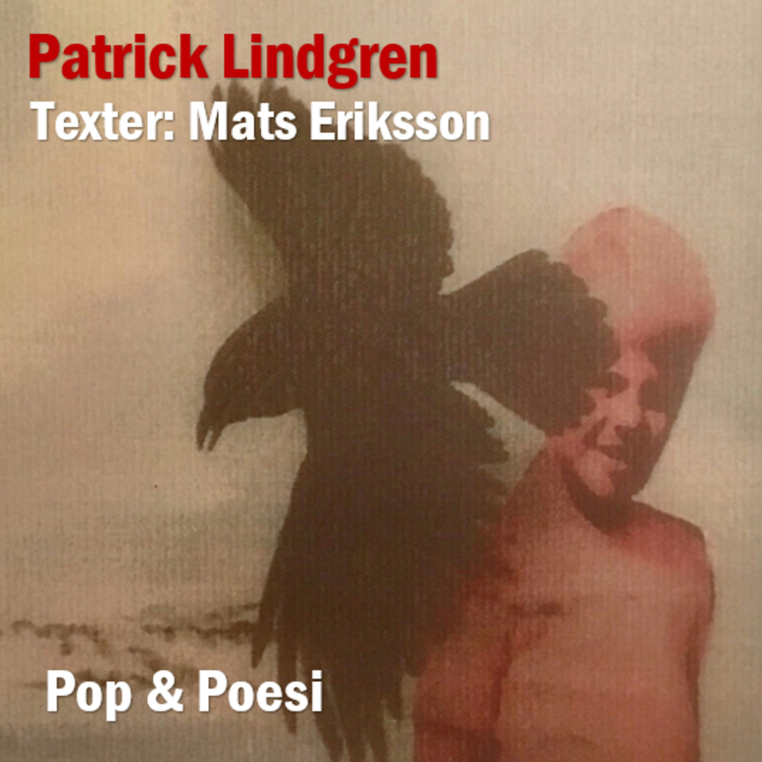 Patrick Lindgren - Vi ska bli nåt annat