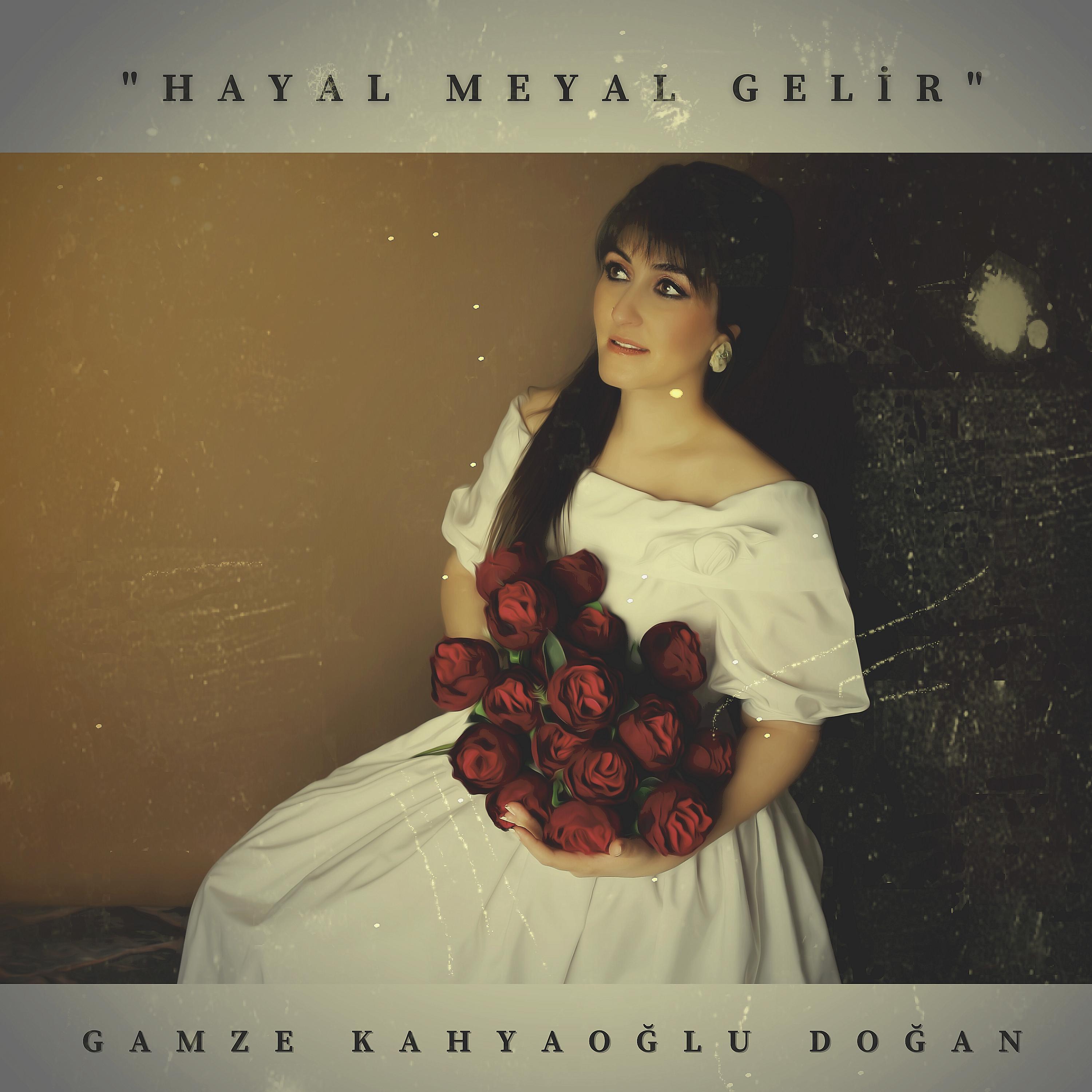 Постер альбома Hayal Meyal Gelir