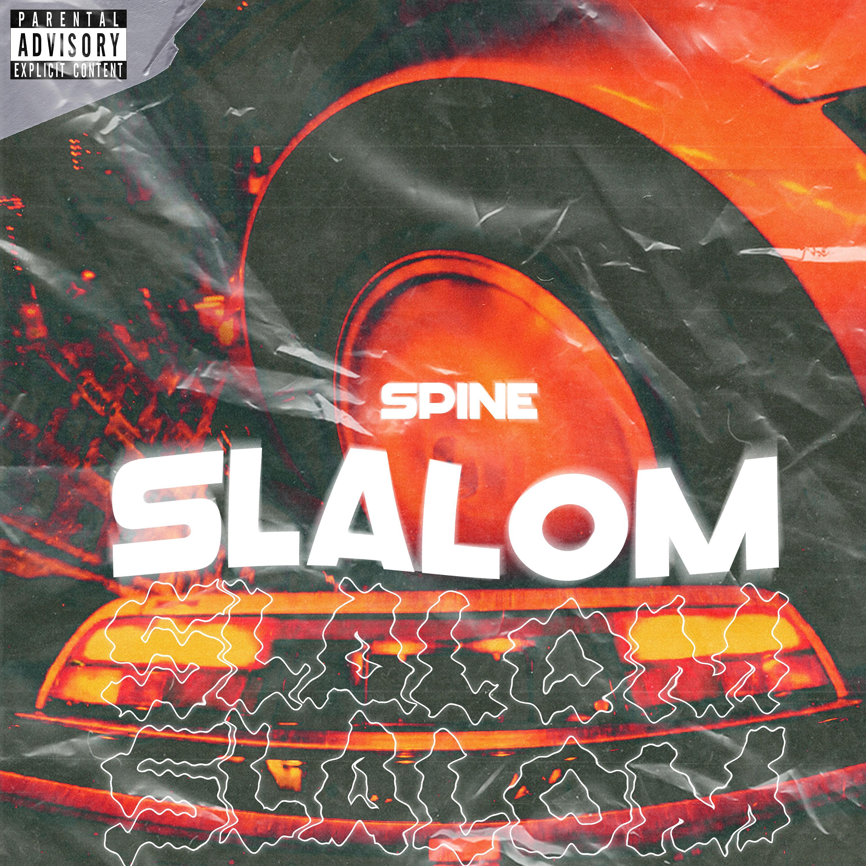 Постер альбома Slalom