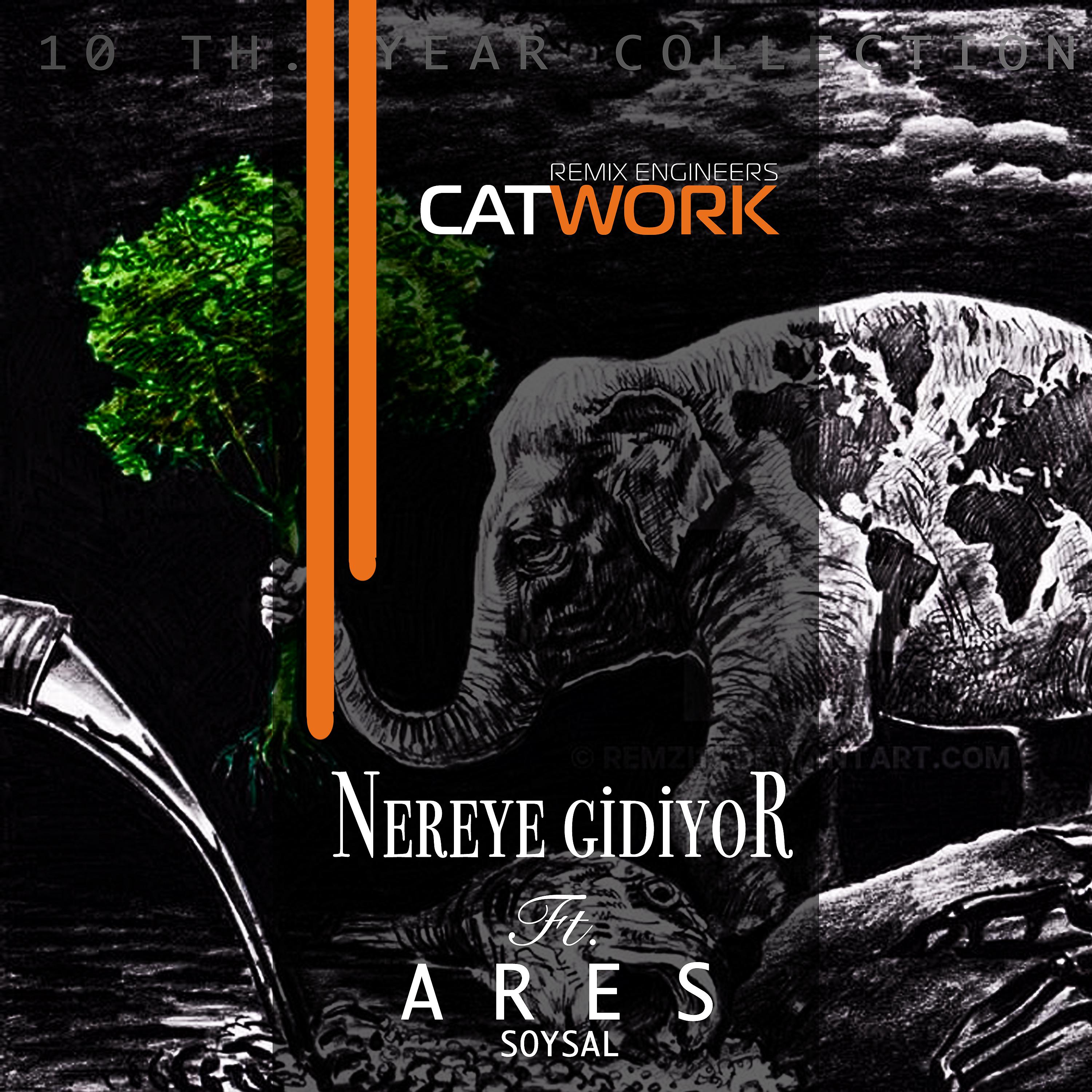 Постер альбома Nereye gidiyor (10Th. Year Collection)